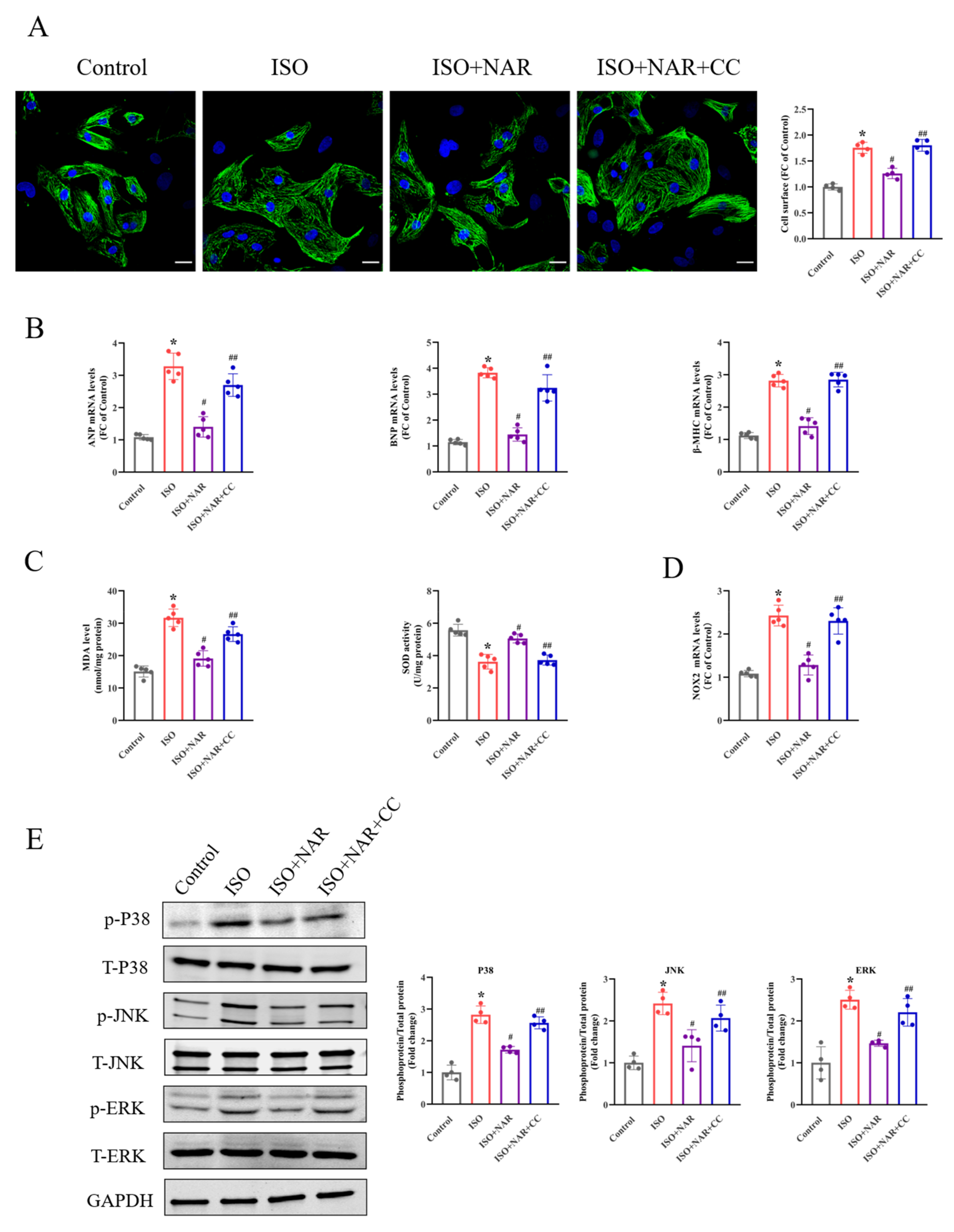 Nutrients 15 01340 g002 Nutrients 15 01340 g002