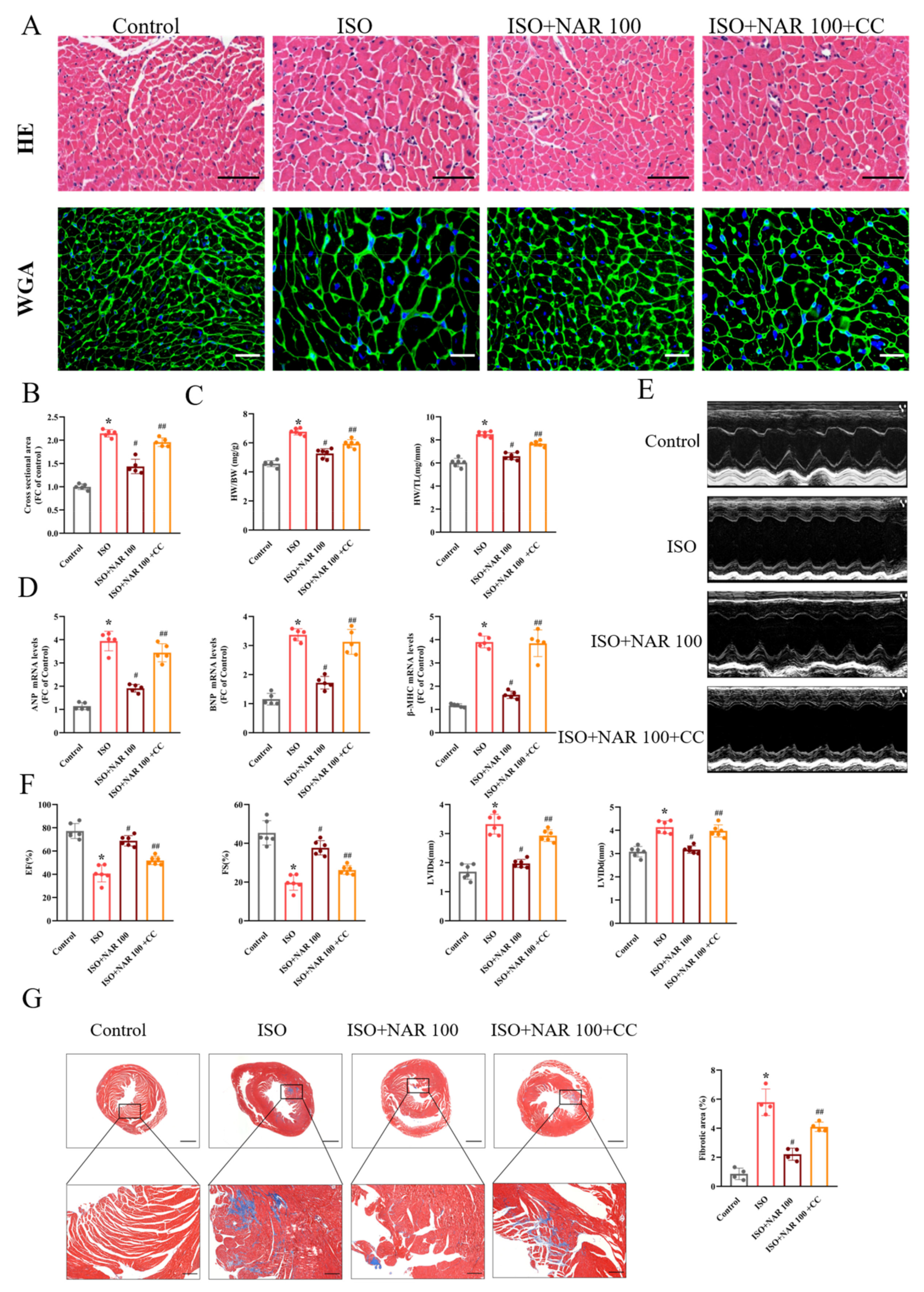 Nutrients 15 01340 g004 Nutrients 15 01340 g004