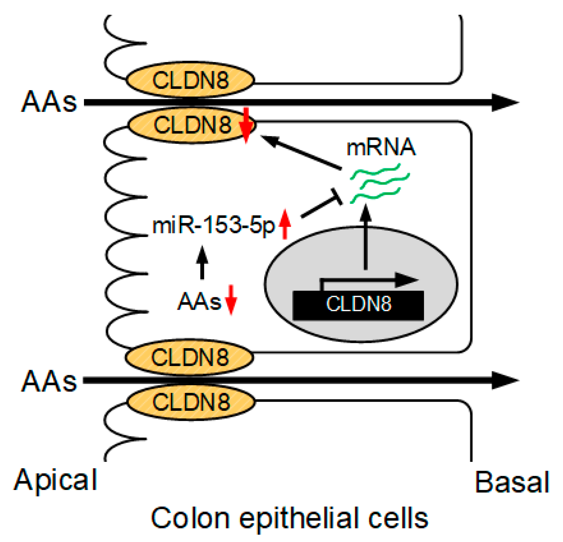 Nutrients 15 01346 g008