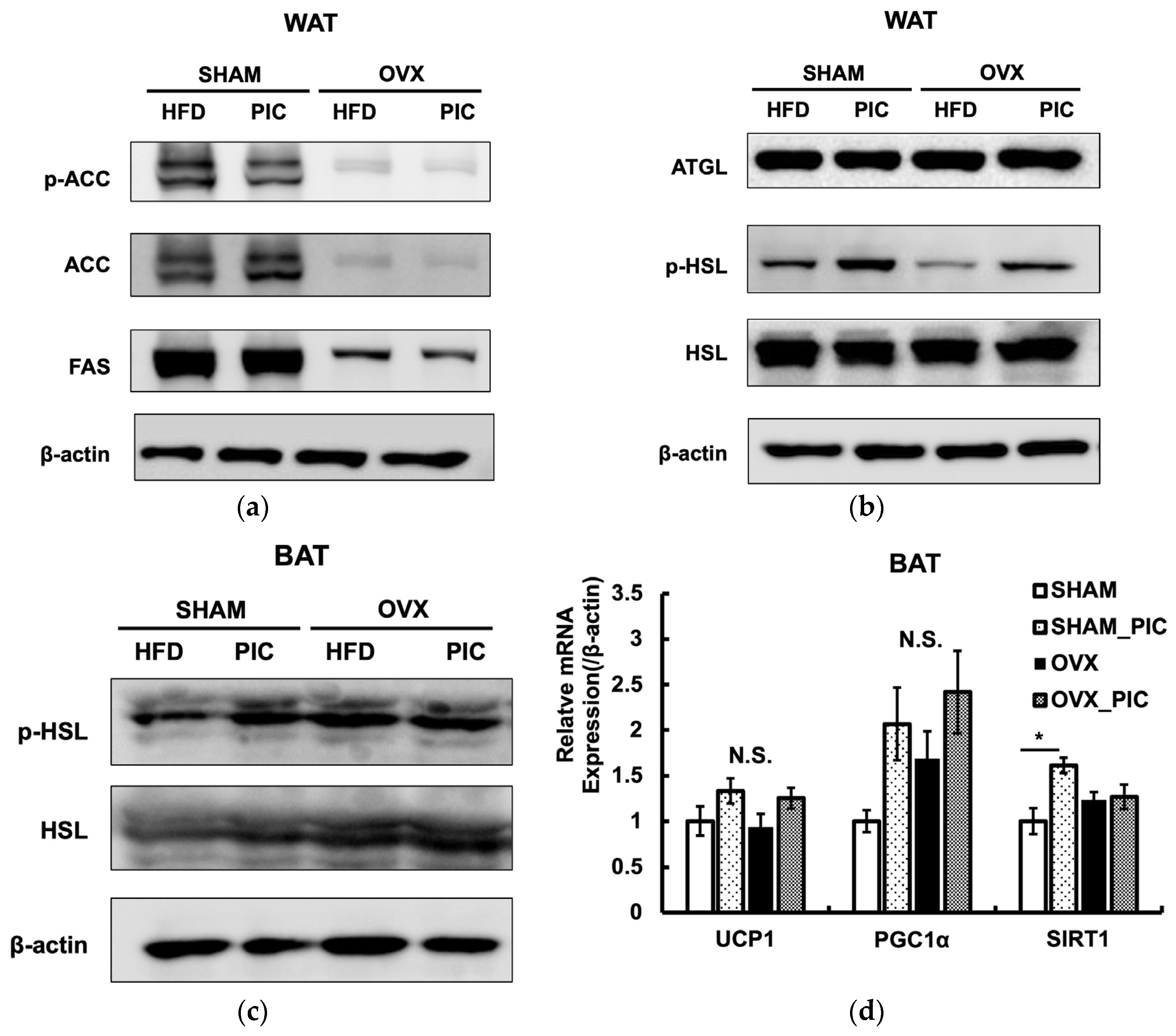 Nutrients 15 01374 g004 Nutrients 15 01374 g004