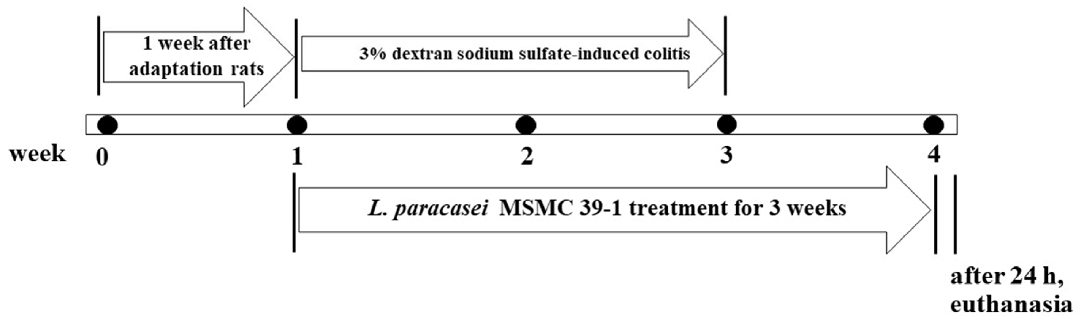 Nutrients 15 01388 g001