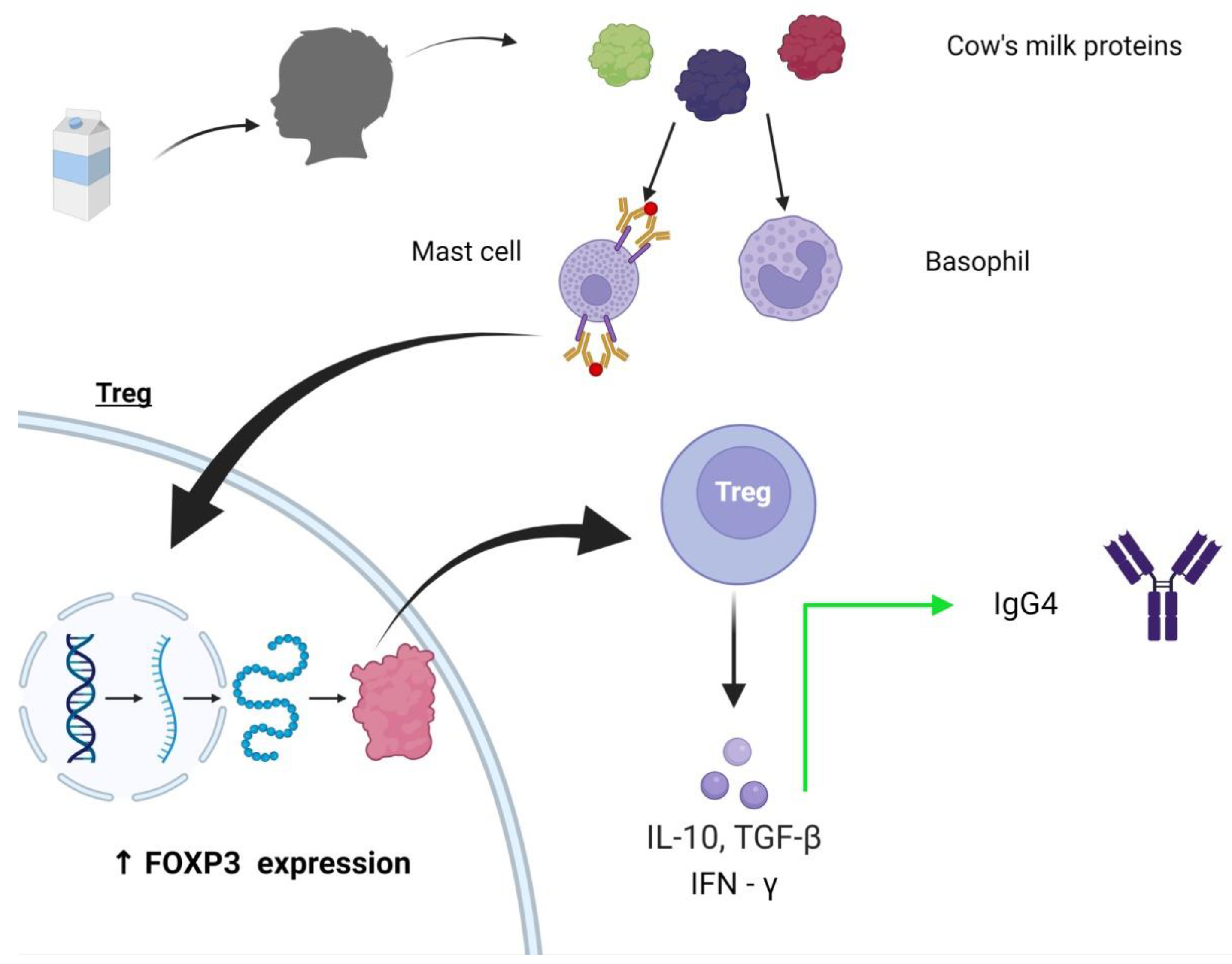 Nutrients 15 01397 g004