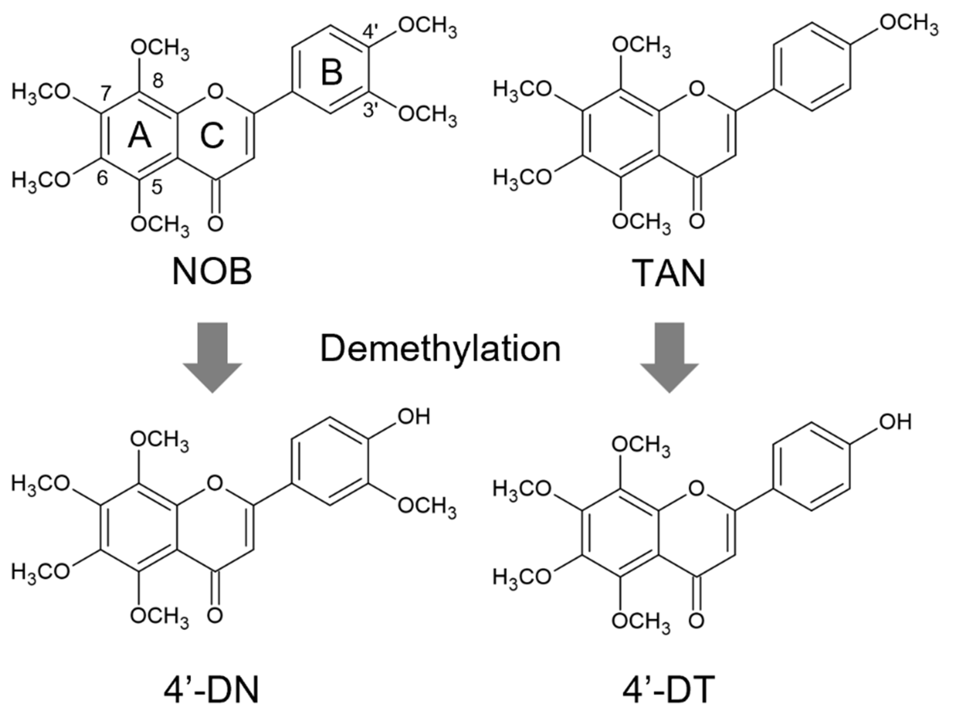 Nutrients 15 01403 g001