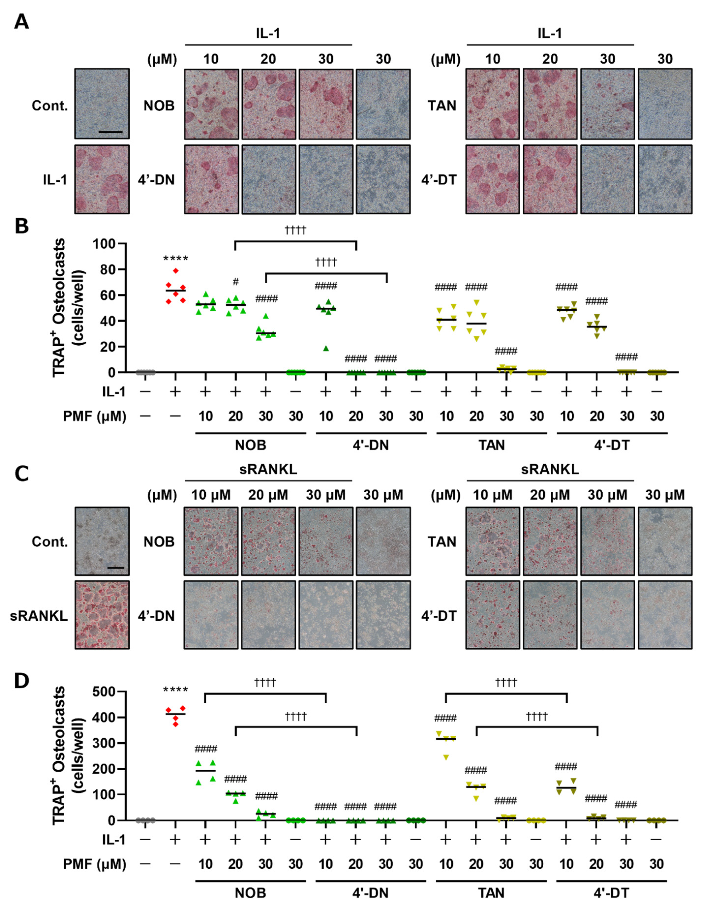 Nutrients 15 01403 g002