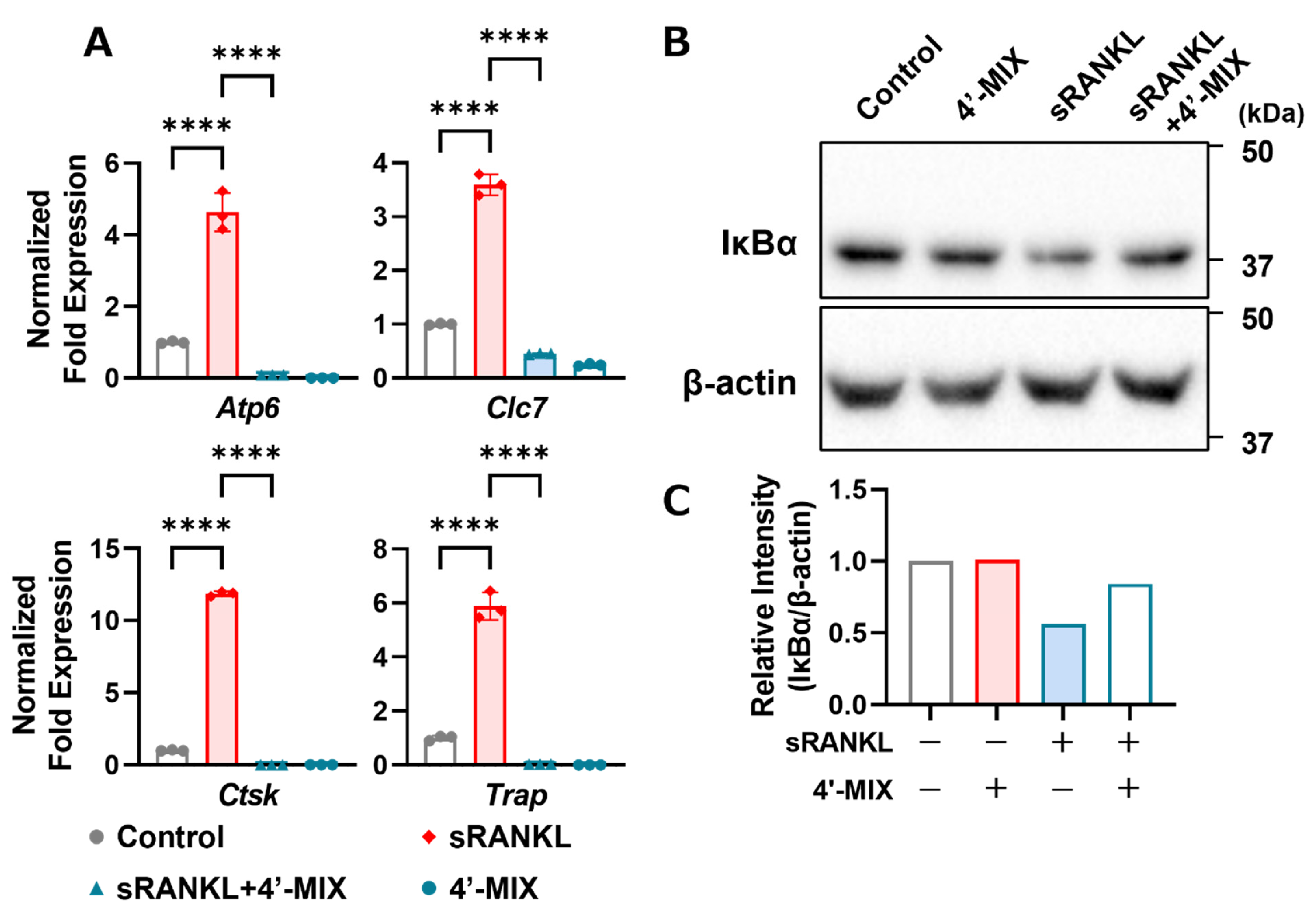 Nutrients 15 01403 g004