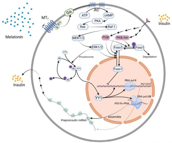 Nutrients 15 01406 g004