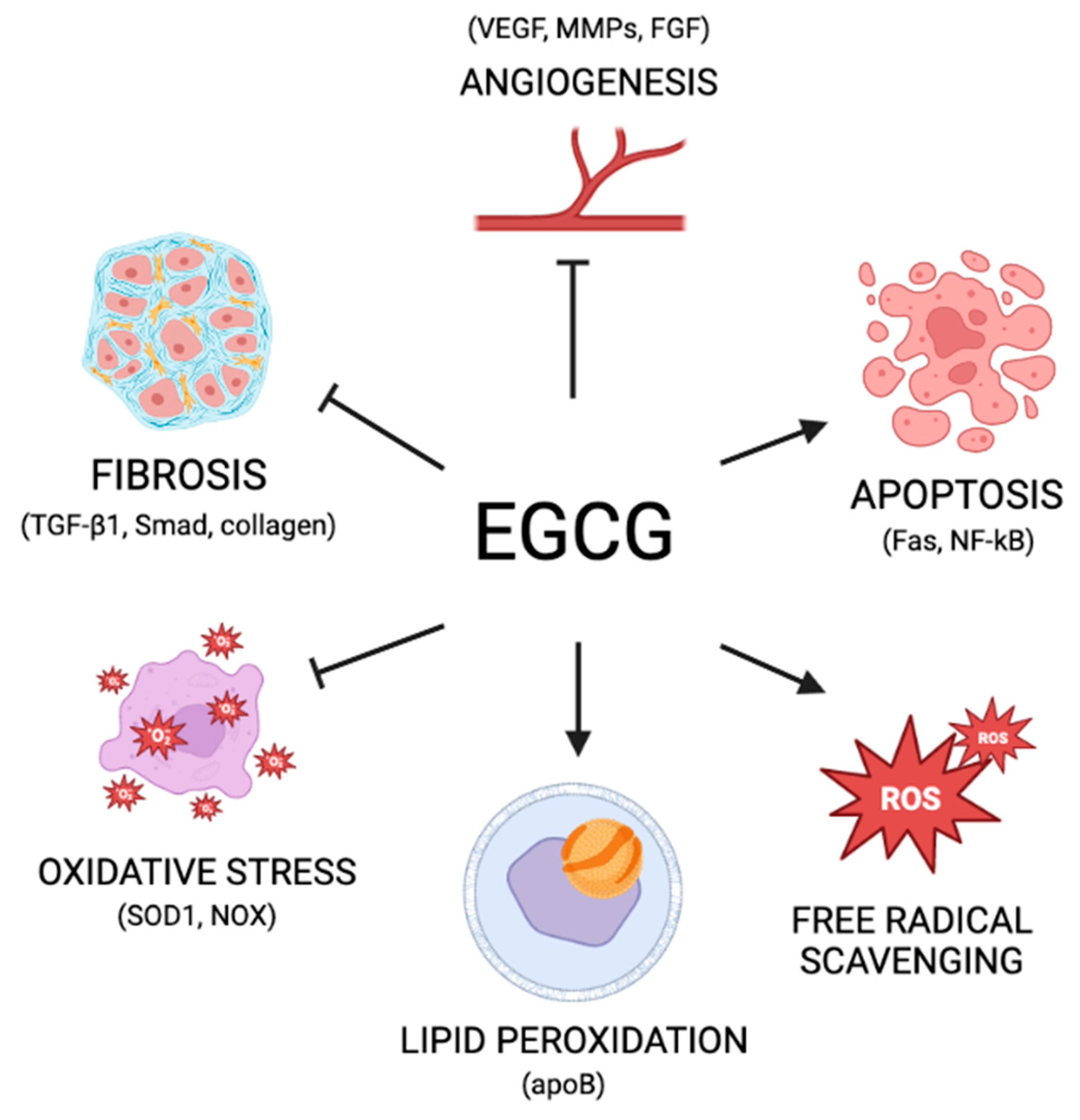 Nutrients 15 01439 g002