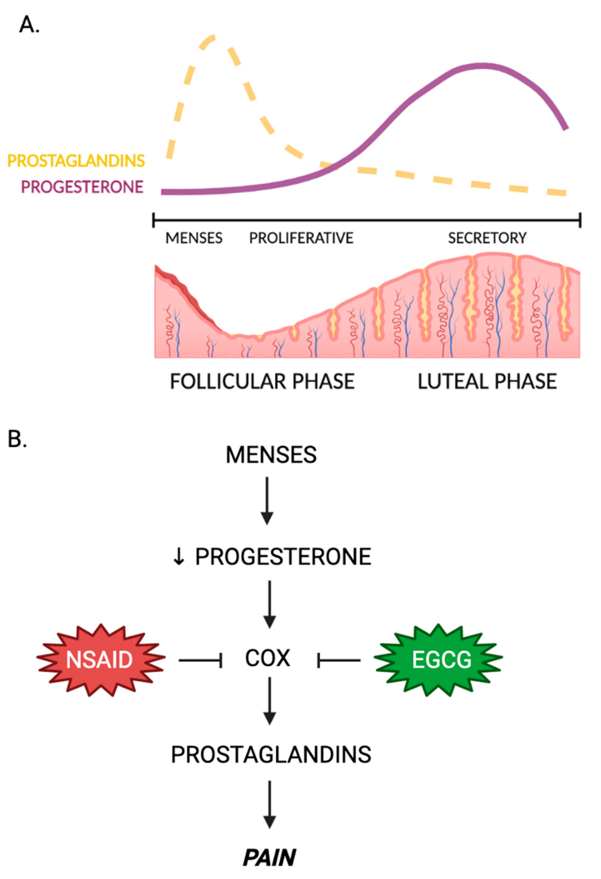 Nutrients 15 01439 g003