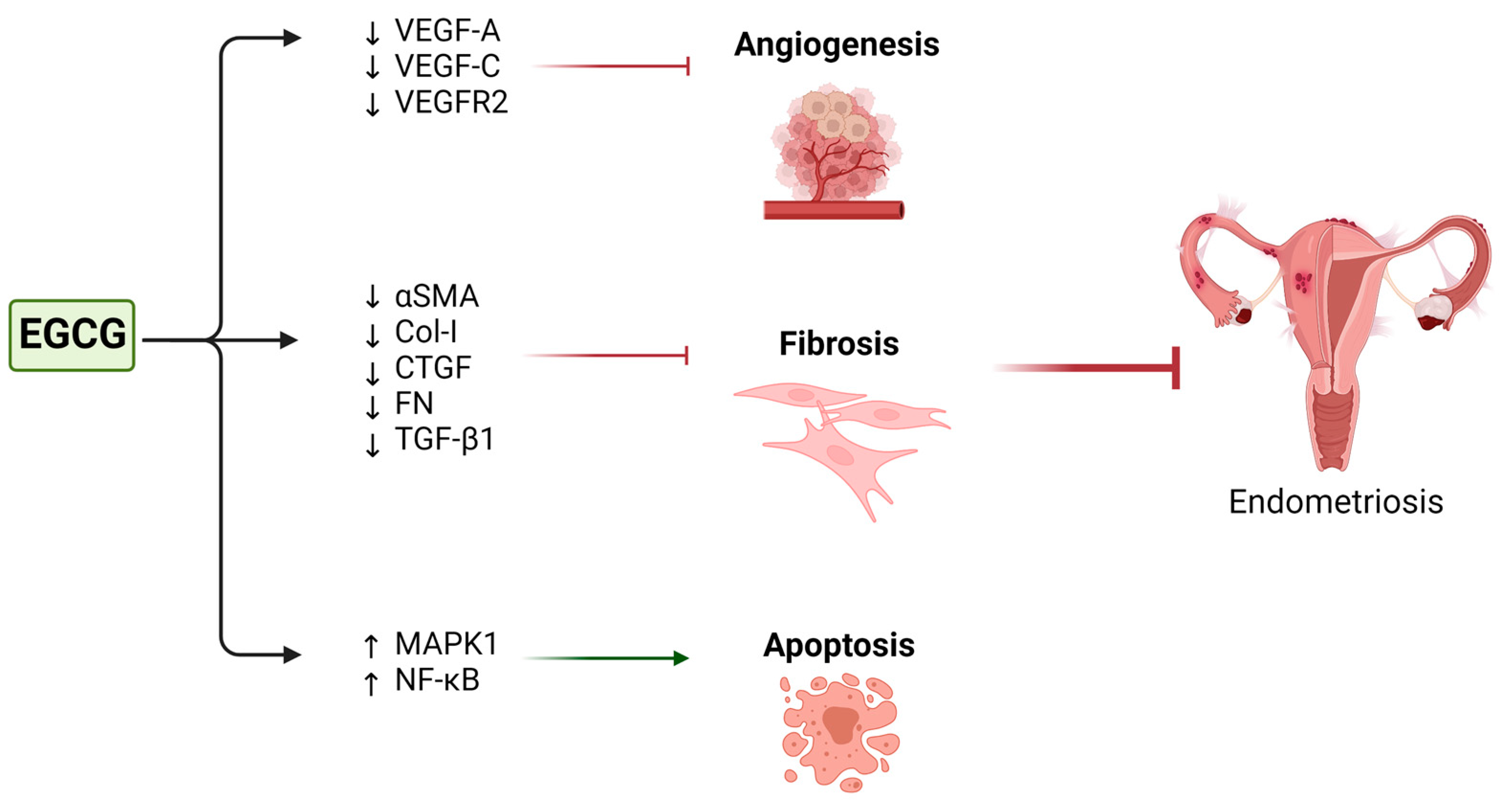 Nutrients 15 01439 g005