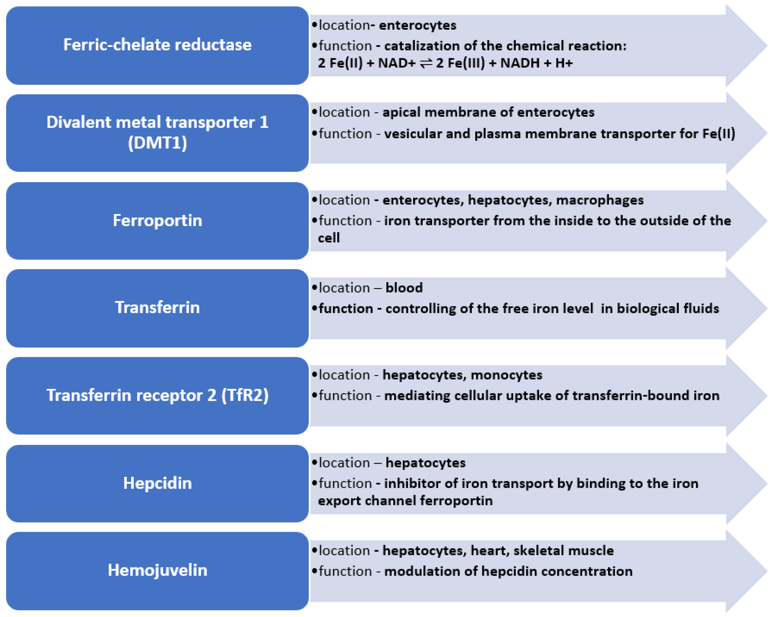 Nutrients 15 01453 g001 Nutrients 15 01453 g001