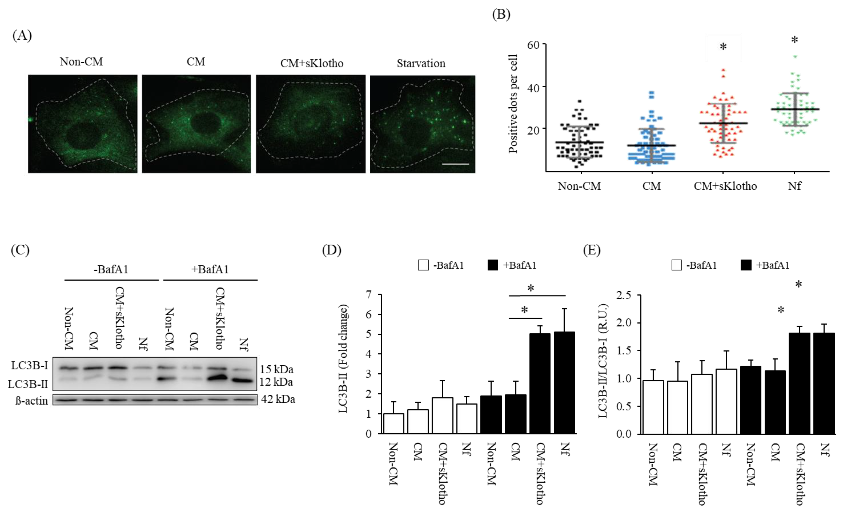 Nutrients 15 01470 g008 Nutrients 15 01470 g008