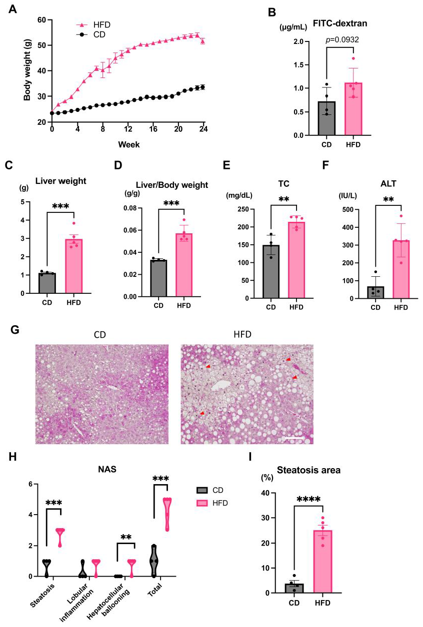 Nutrients 15 01473 g001