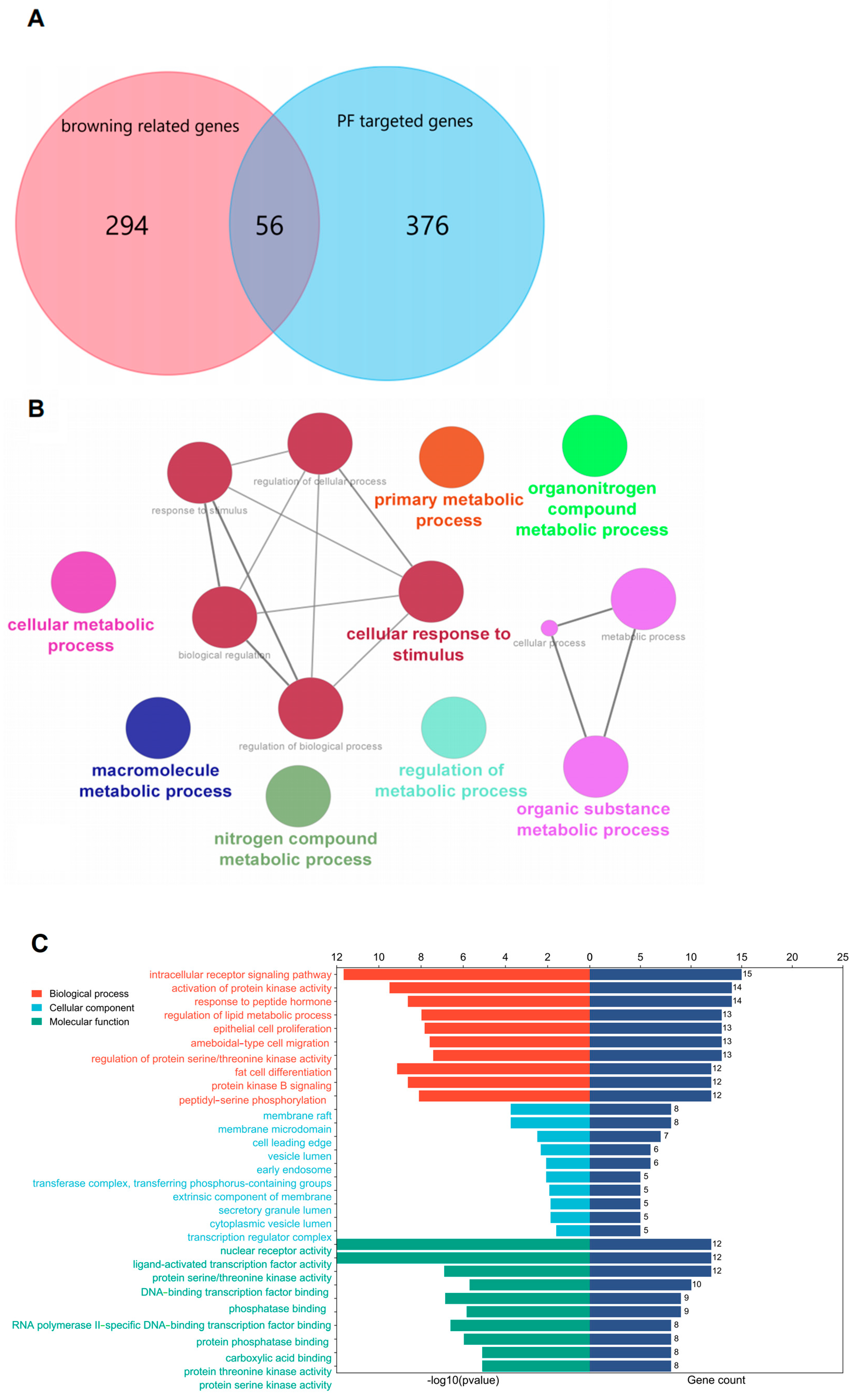 Nutrients 15 01487 g002 Nutrients 15 01487 g002