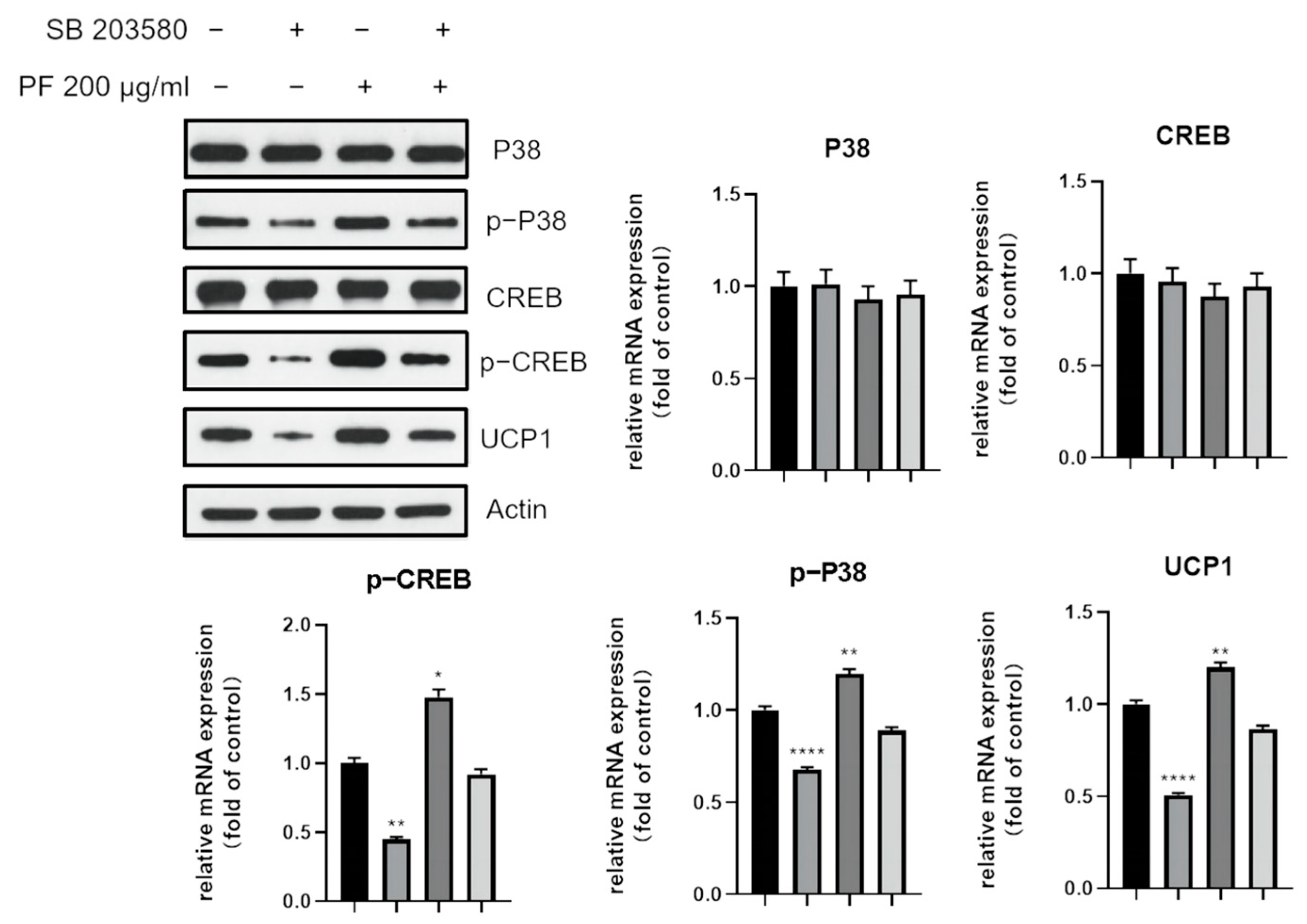 Nutrients 15 01487 g014 Nutrients 15 01487 g014
