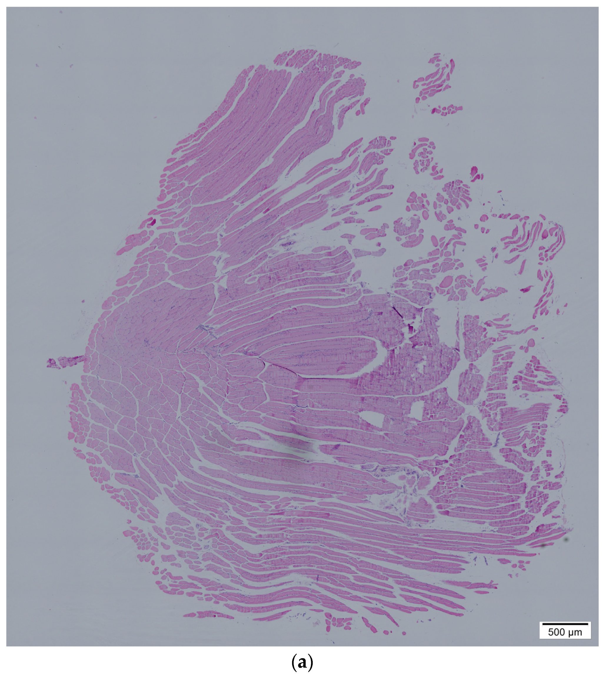 Nutrients 15 01489 g002a