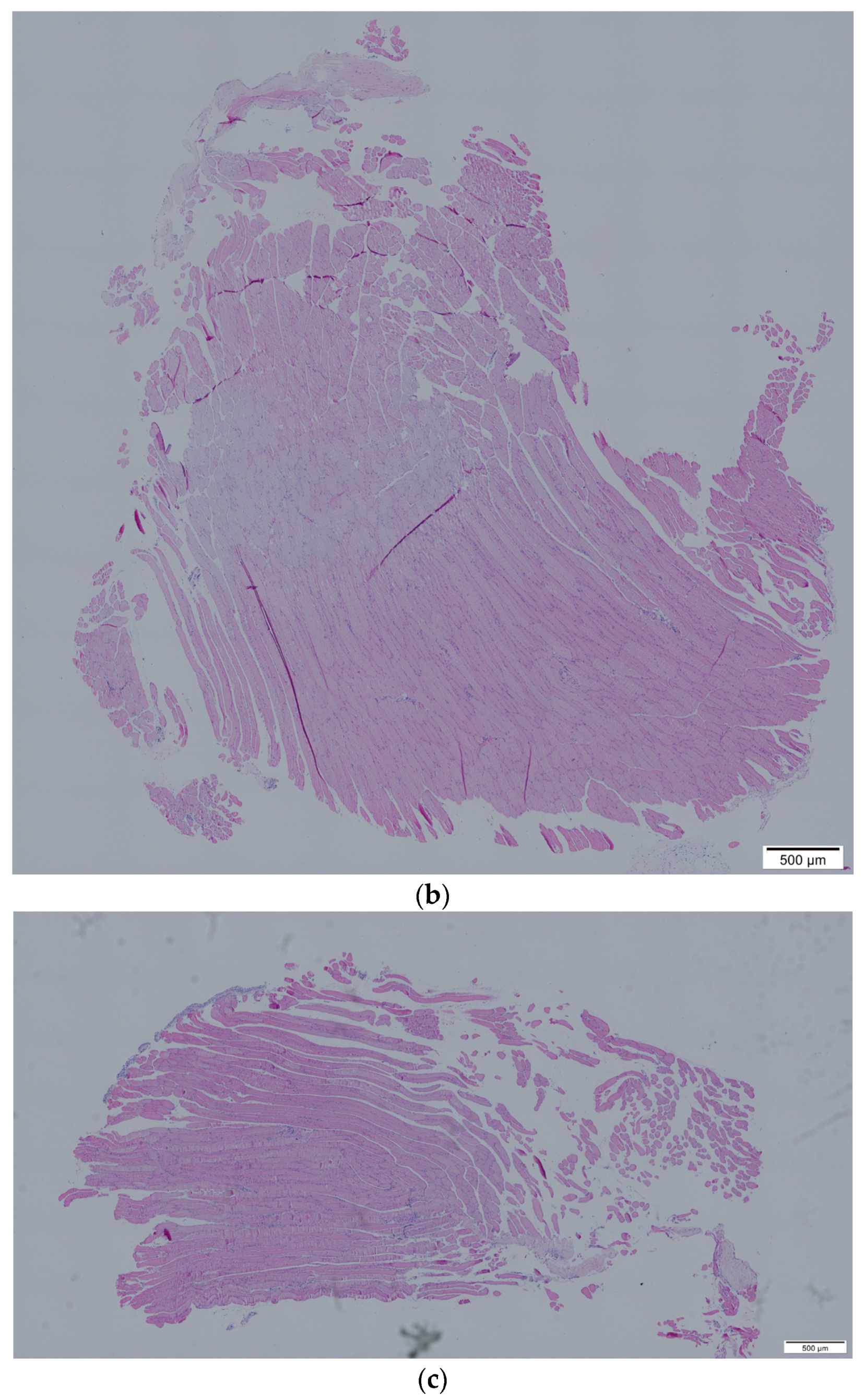 Nutrients 15 01489 g002b