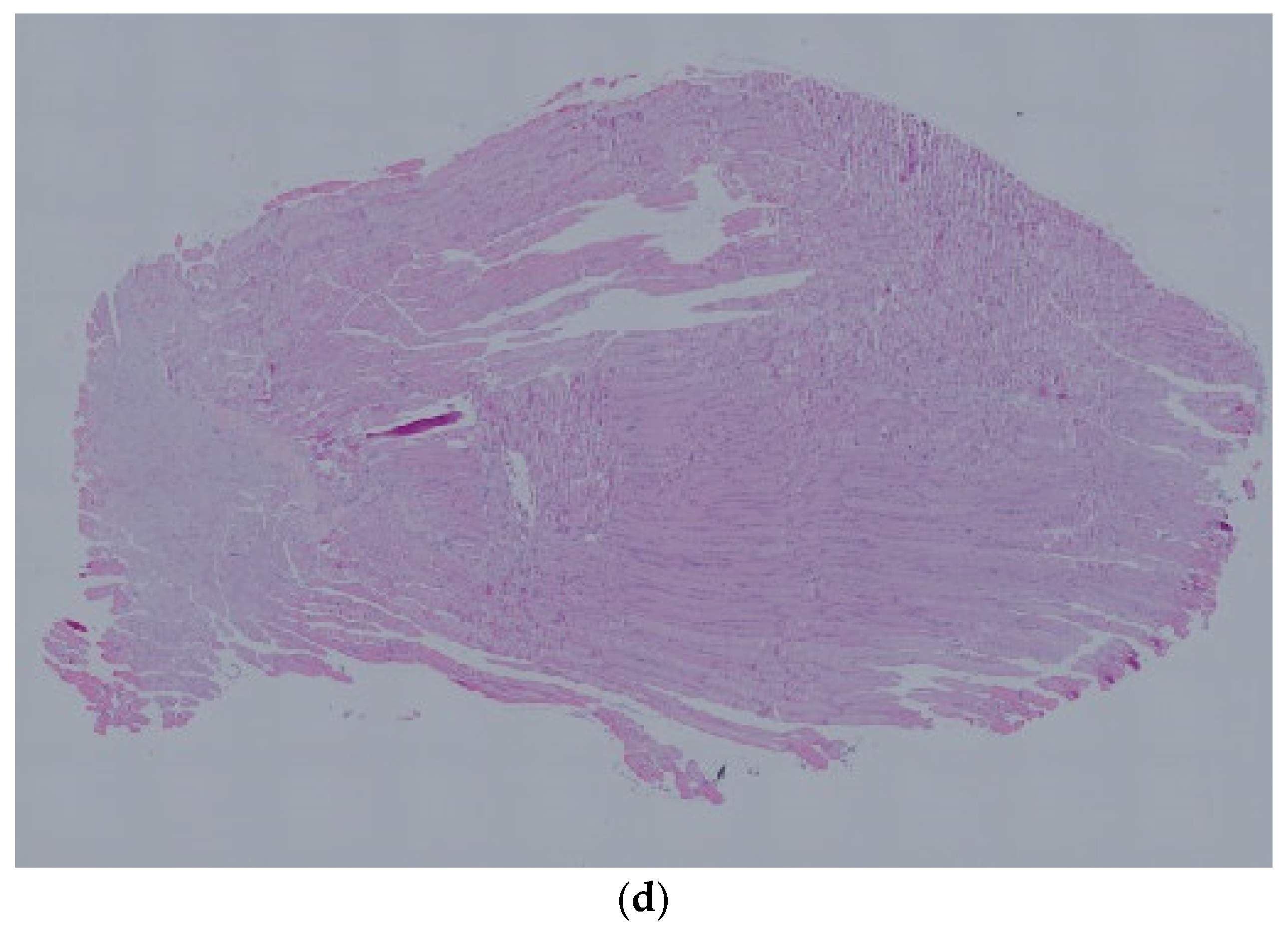 Nutrients 15 01489 g002c