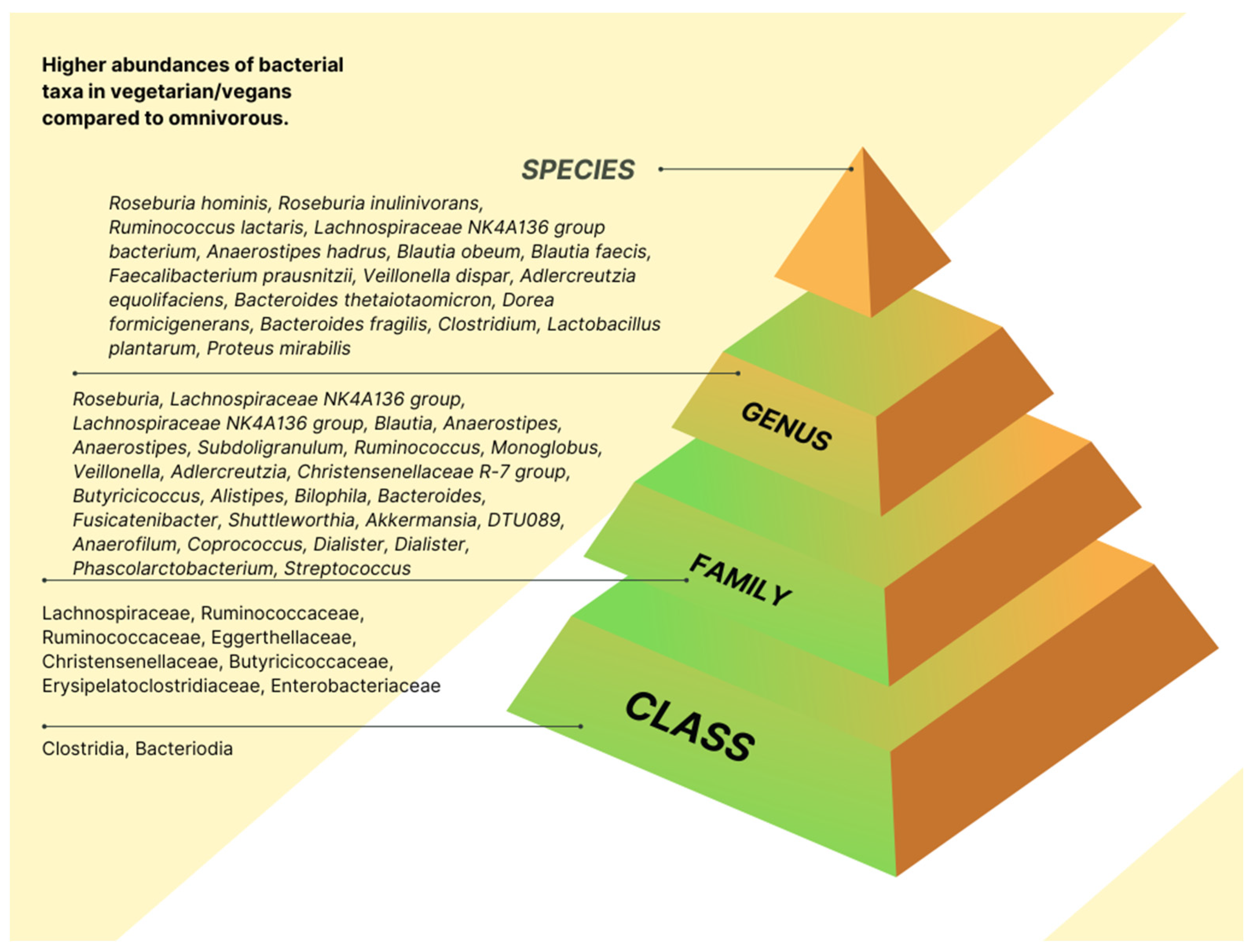 Nutrients 15 01510 g002 Nutrients 15 01510 g002