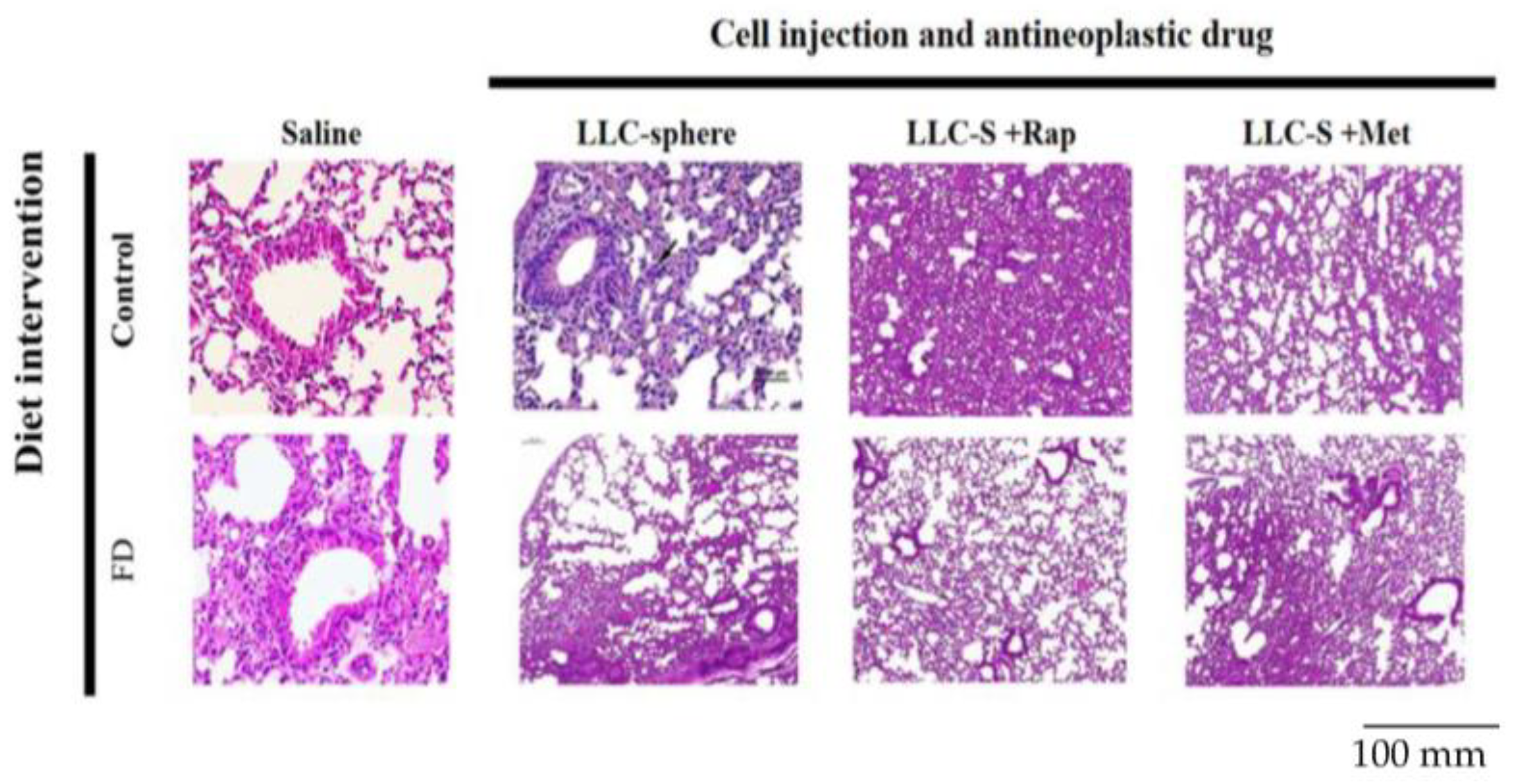 Nutrients 15 01514 g005