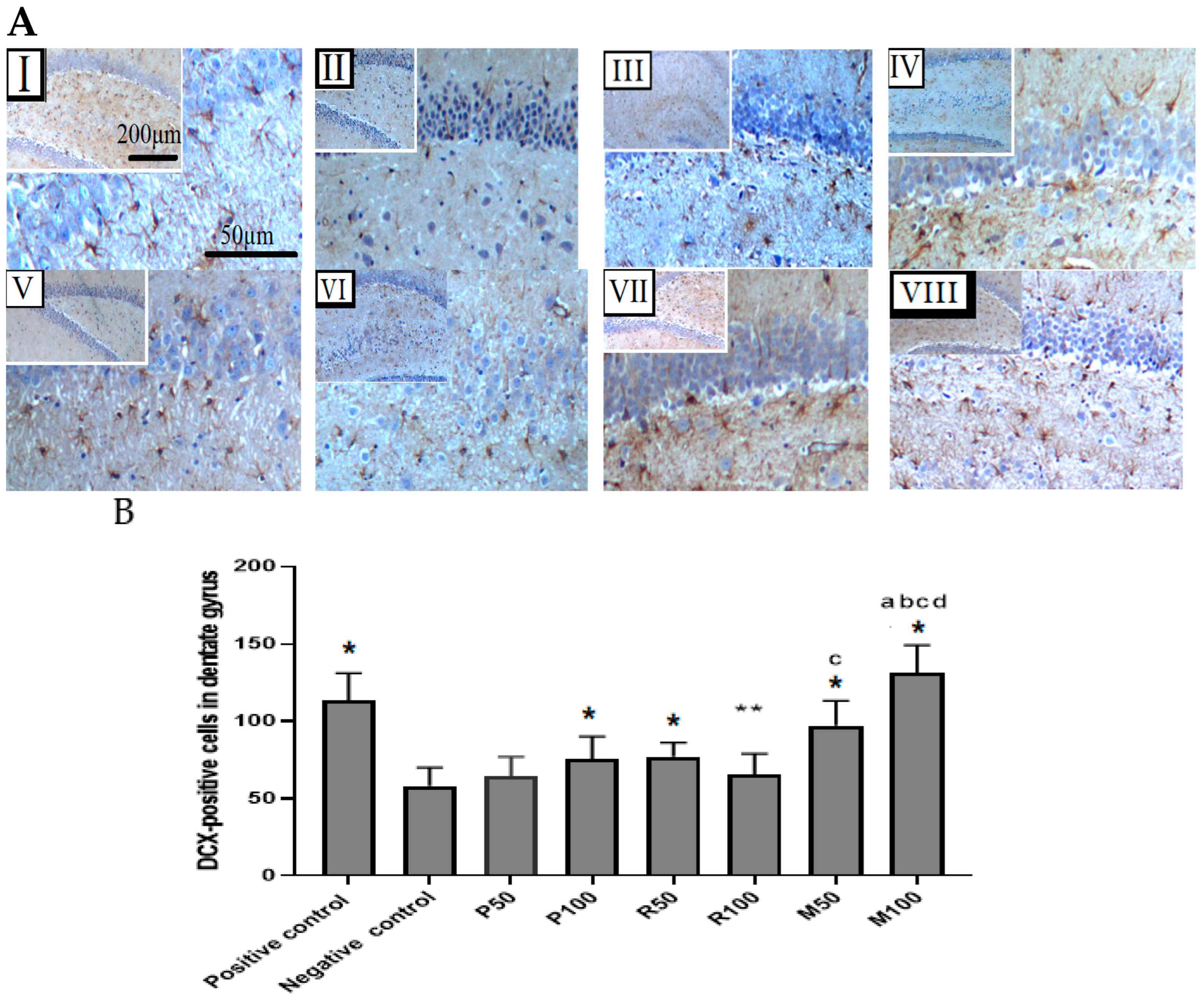 Nutrients 15 01547 g008 Nutrients 15 01547 g008