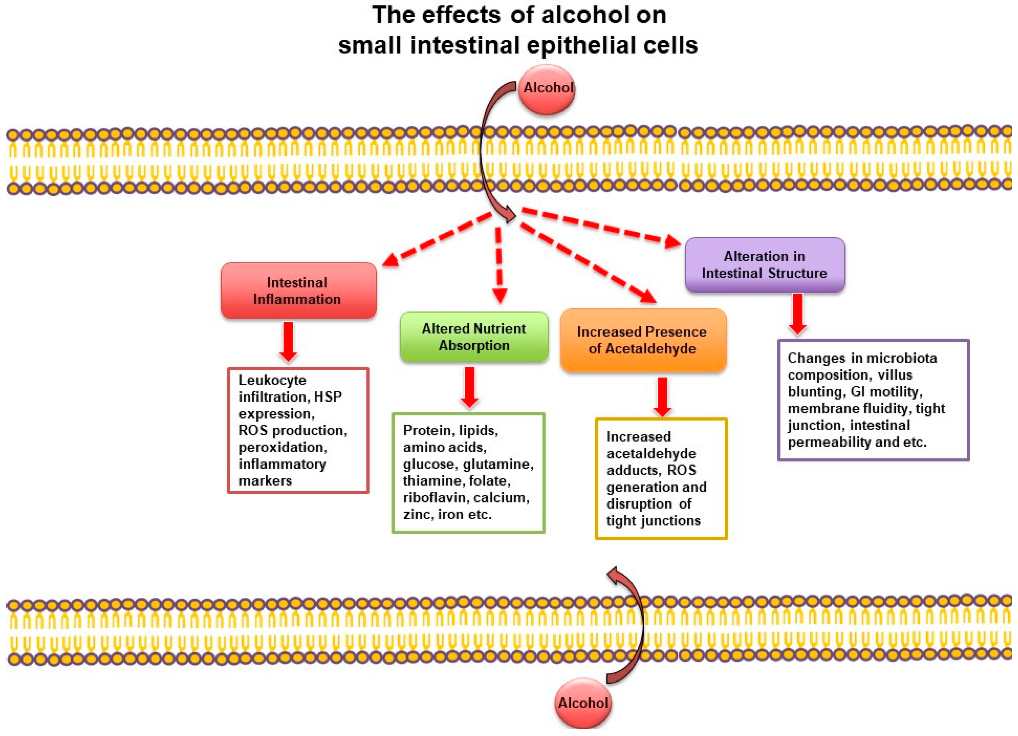 Nutrients 15 01571 g001 Nutrients 15 01571 g001