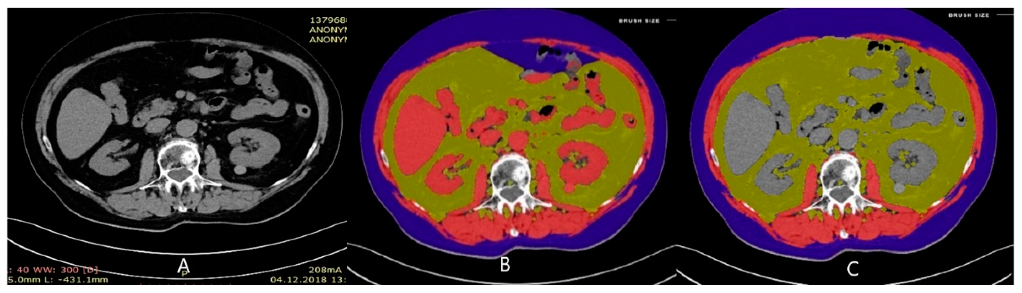 Nutrients 15 01631 g001