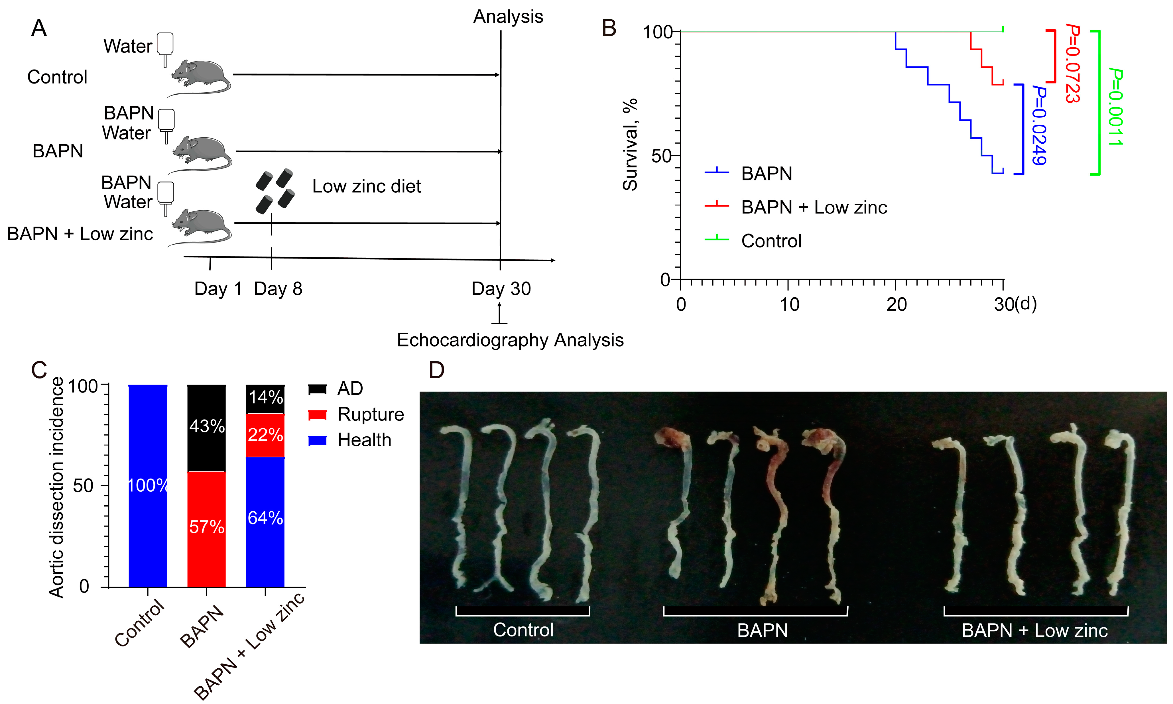Nutrients 15 01640 g001