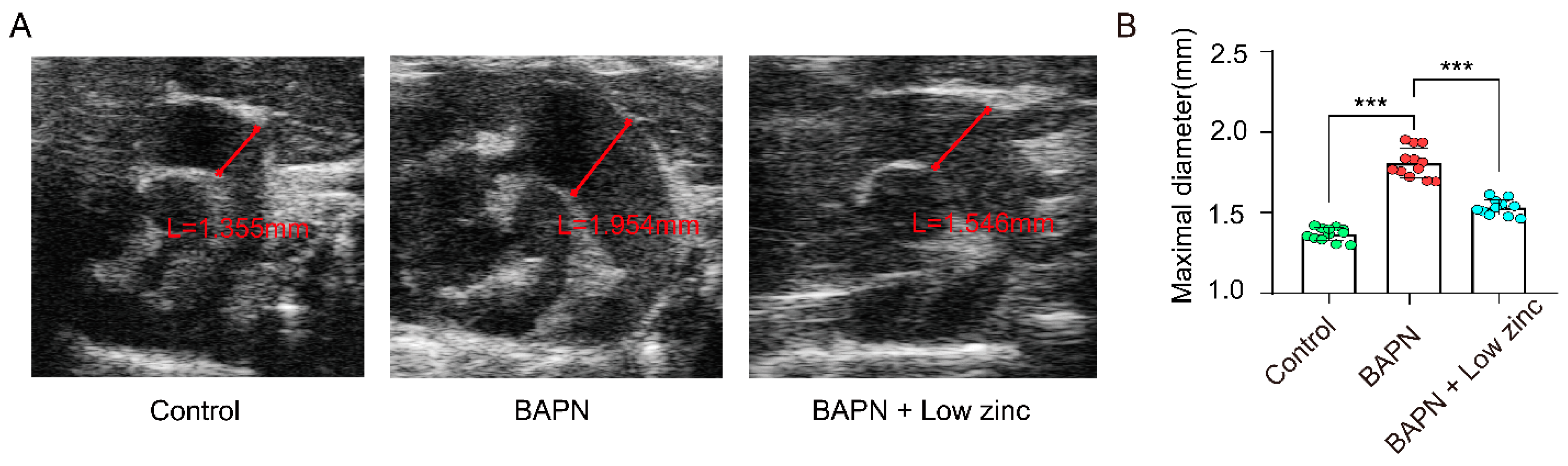 Nutrients 15 01640 g002
