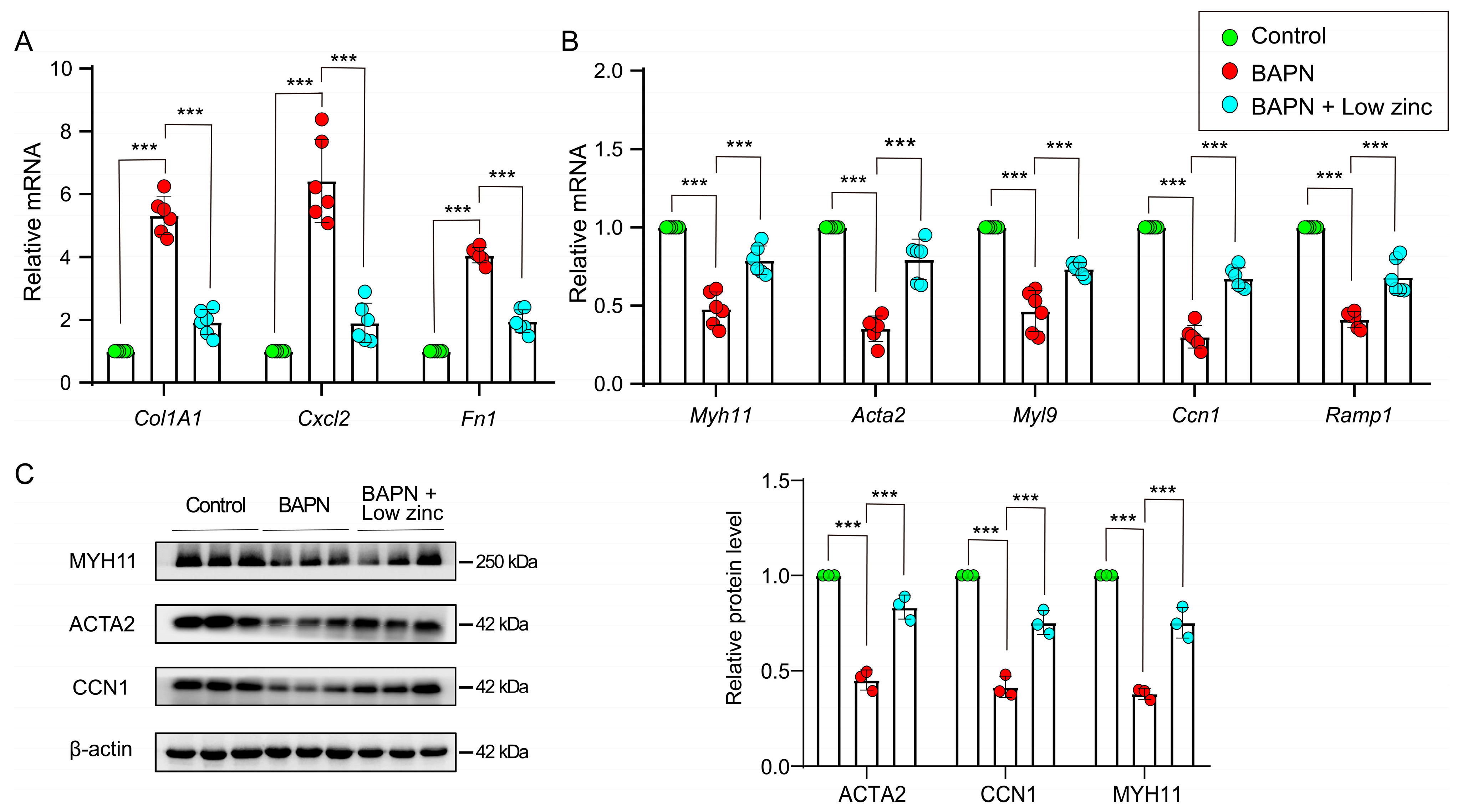 Nutrients 15 01640 g004