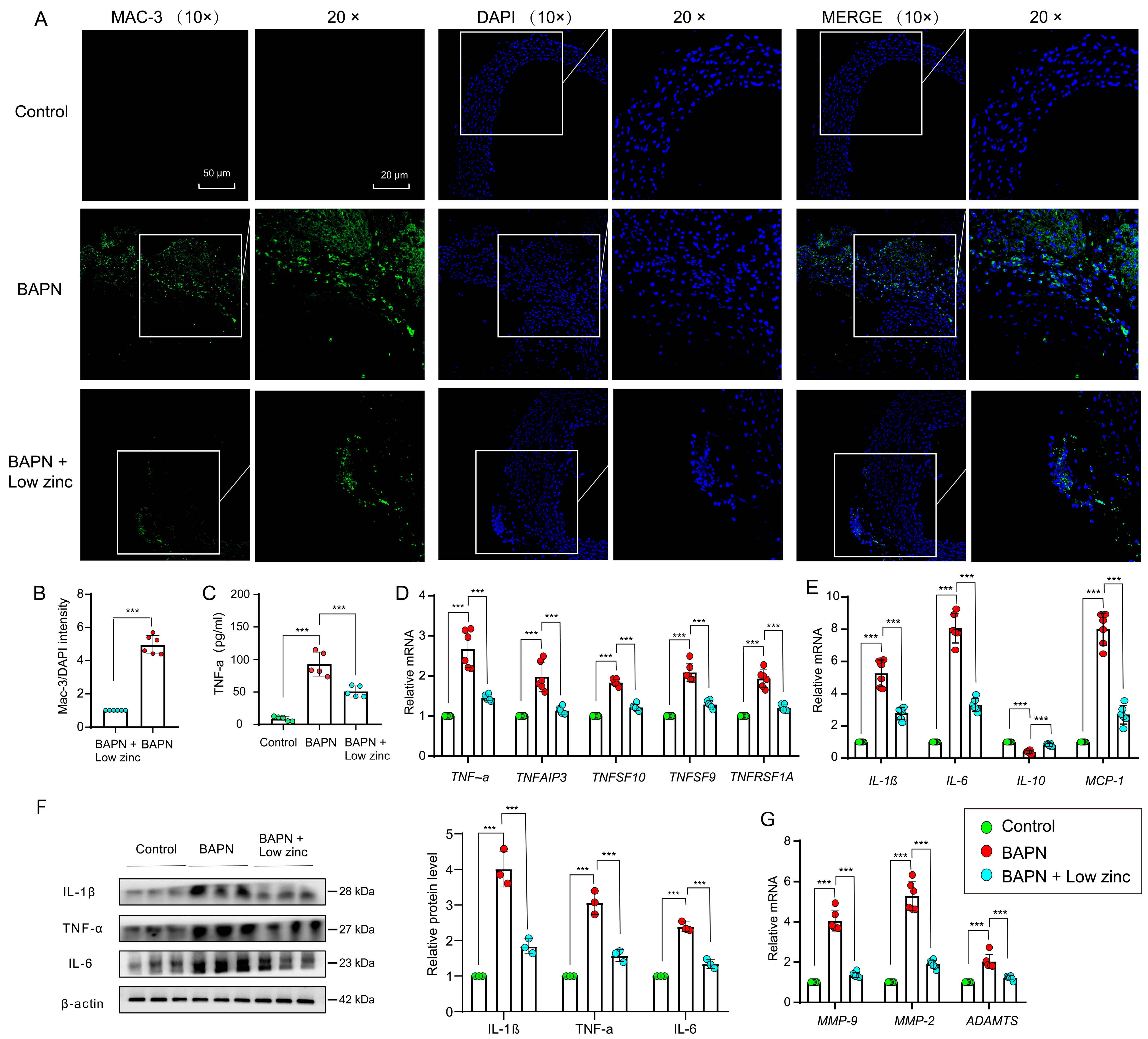 Nutrients 15 01640 g005
