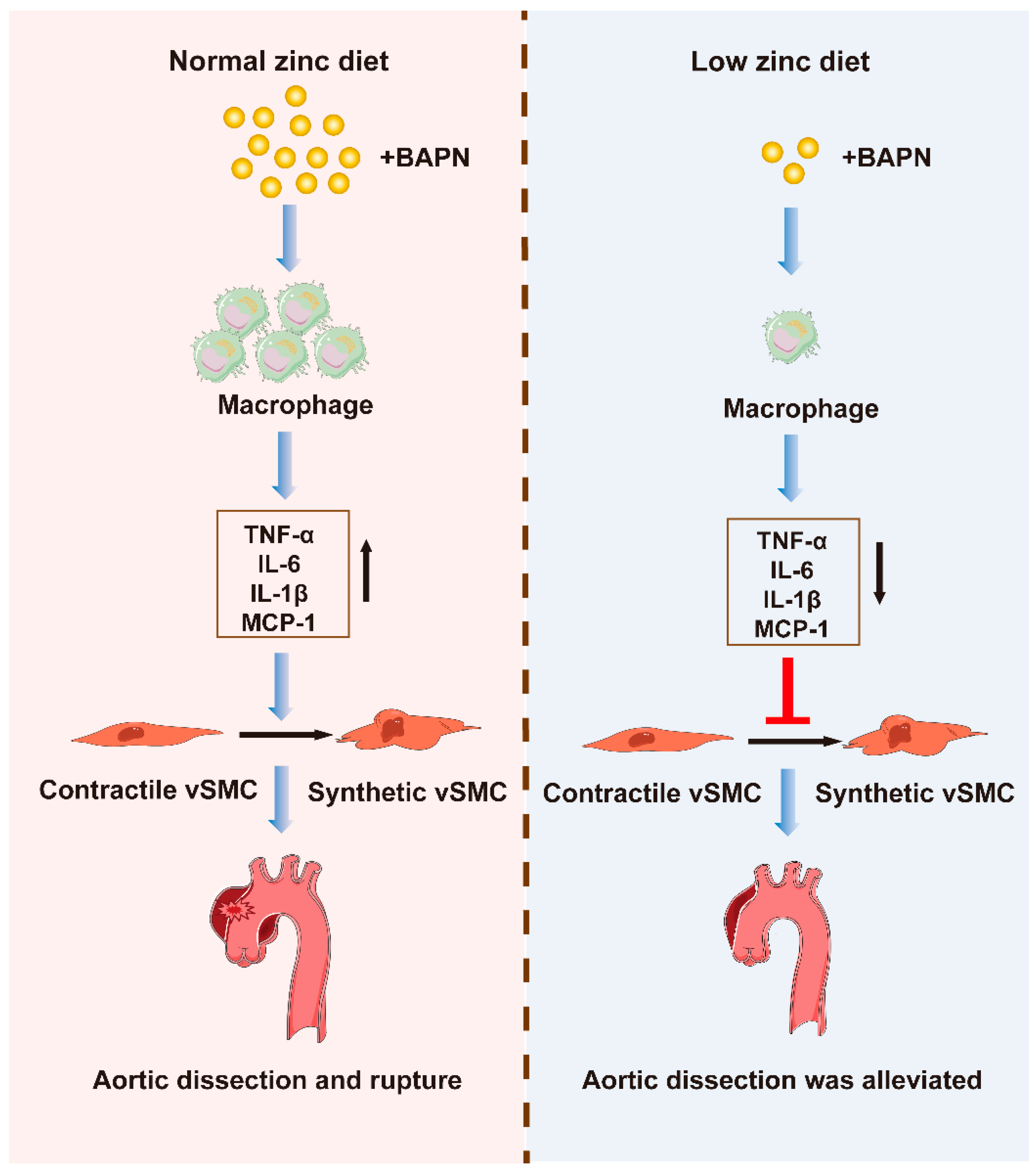 Nutrients 15 01640 g006