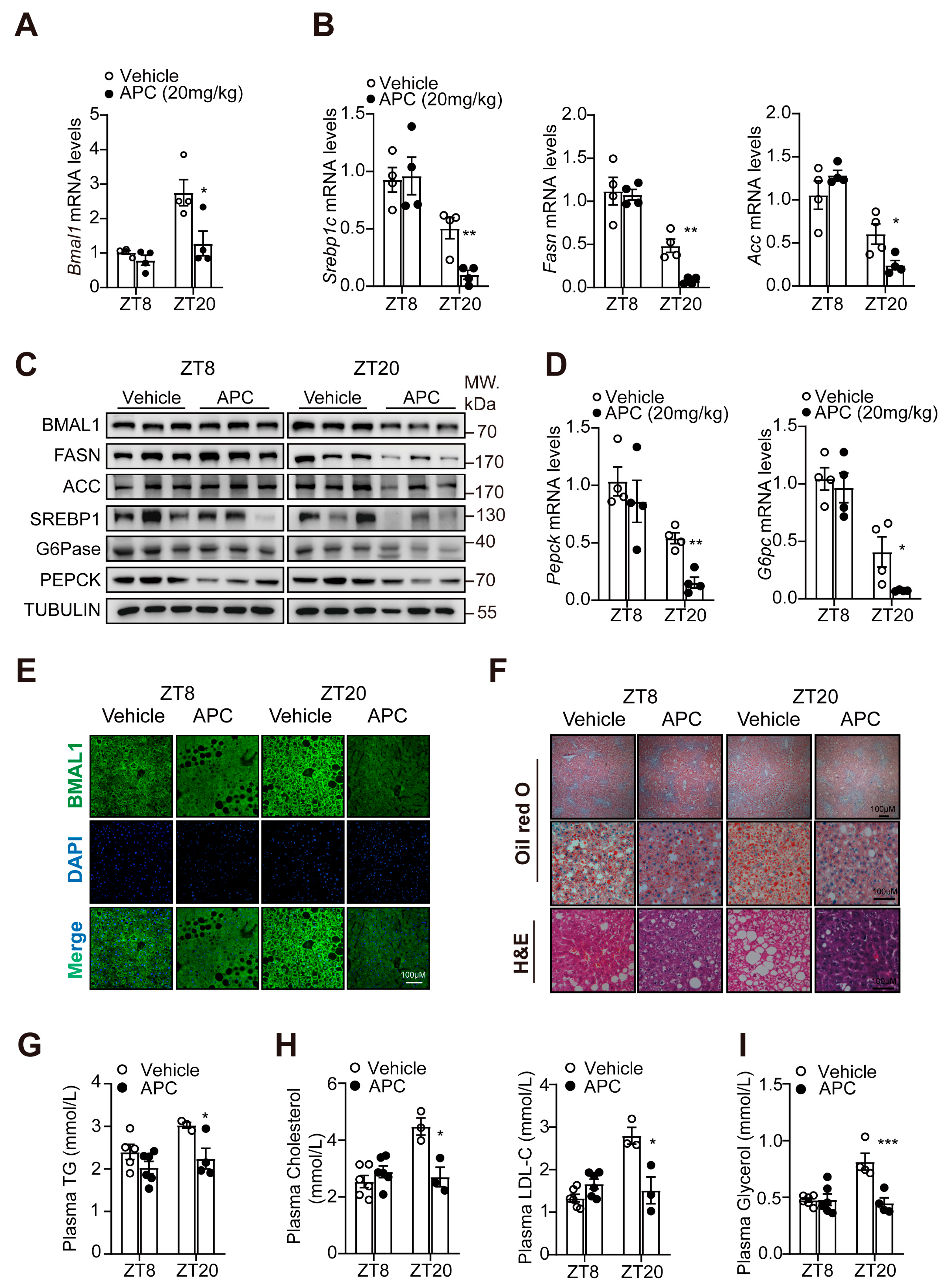Nutrients 15 01644 g004
