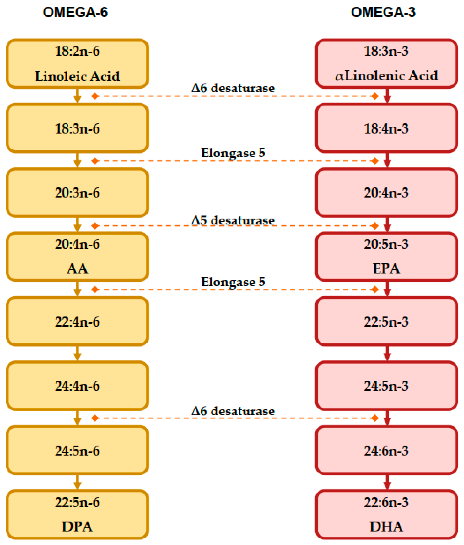 Nutrients 15 01661 g002