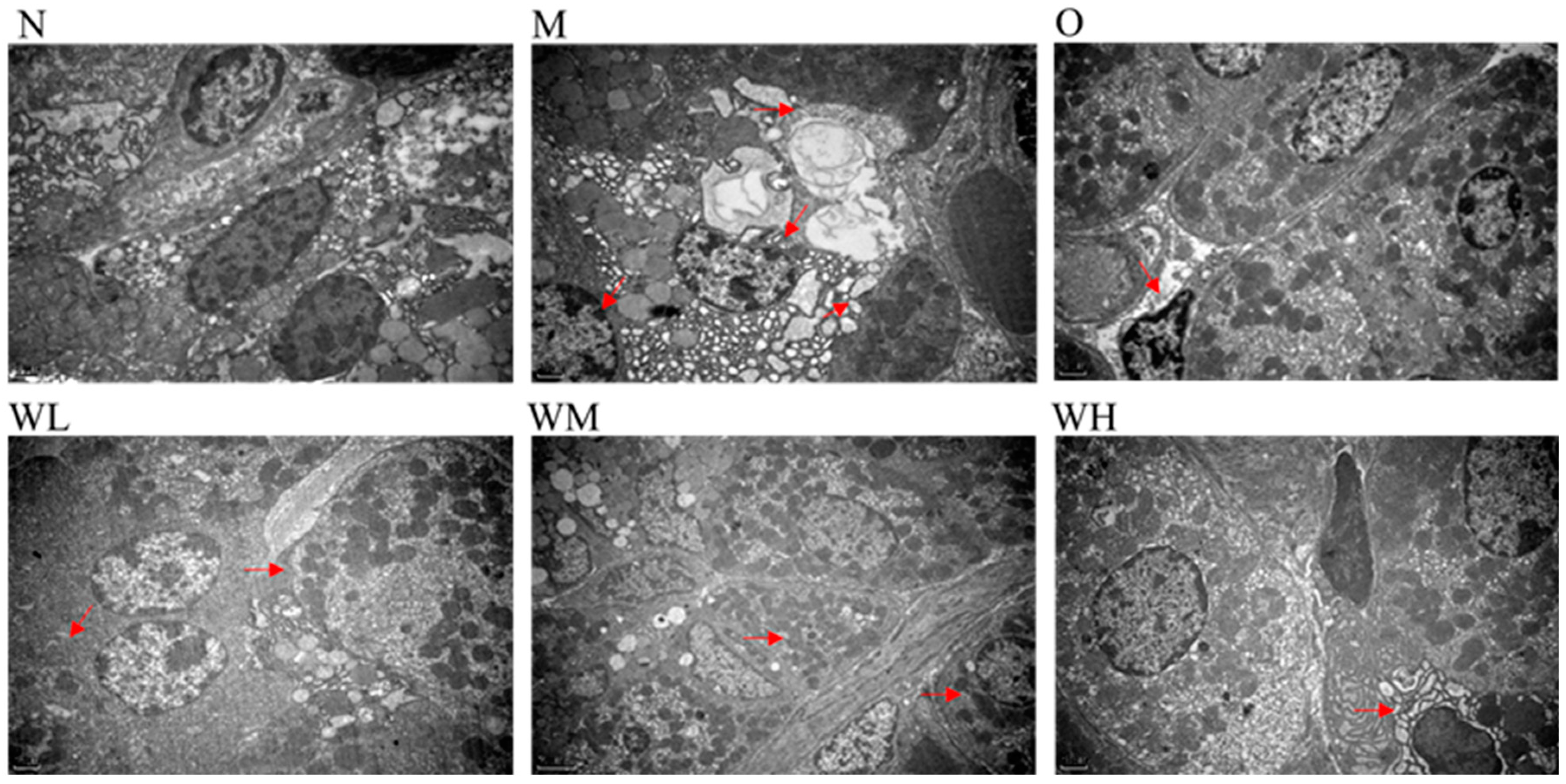 Nutrients 15 01675 g002