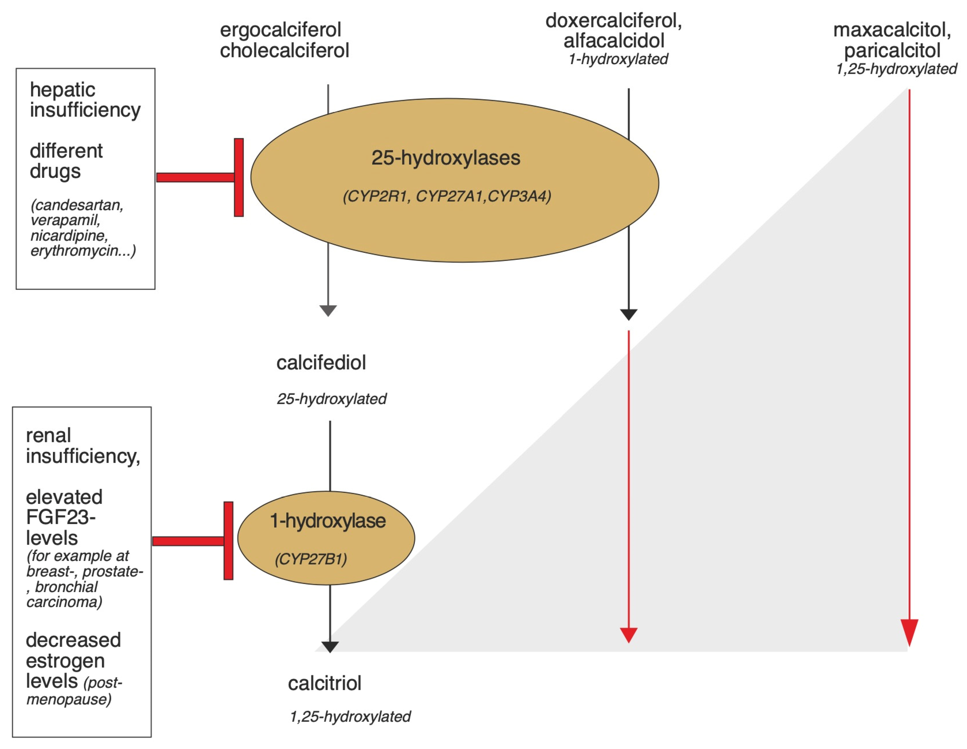 Nutrients 15 01684 g003