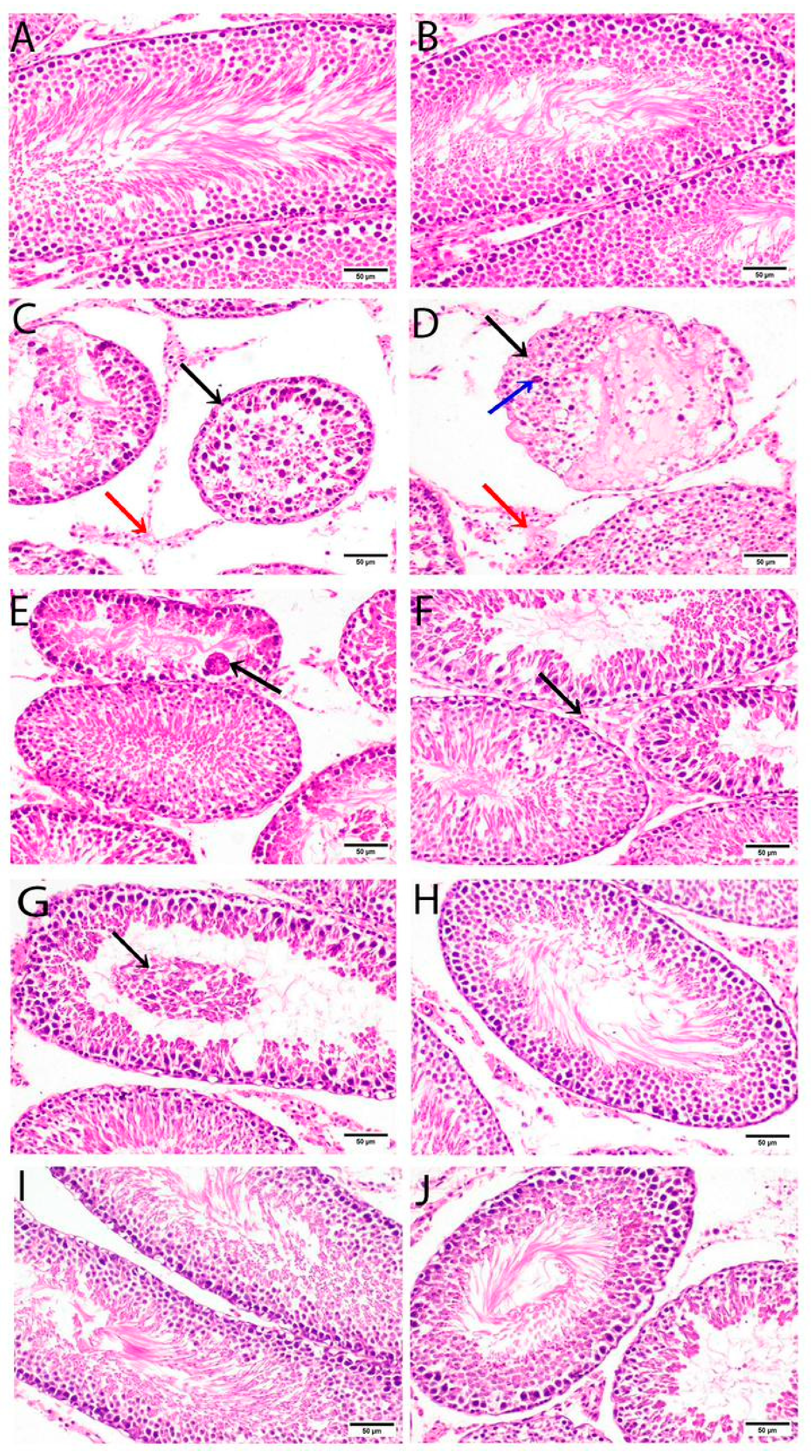 Nutrients 15 01693 g001