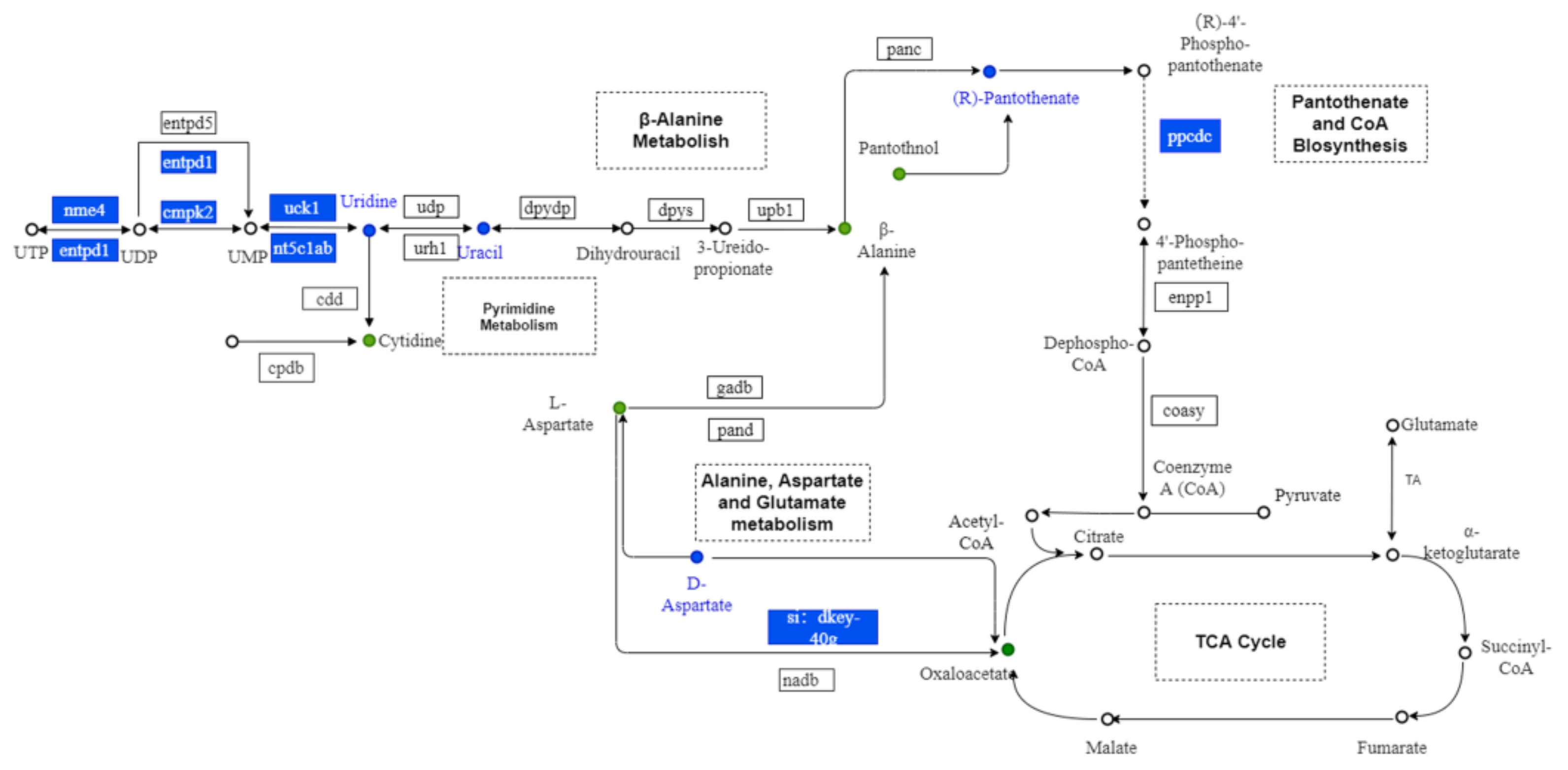 Nutrients 15 01694 g010