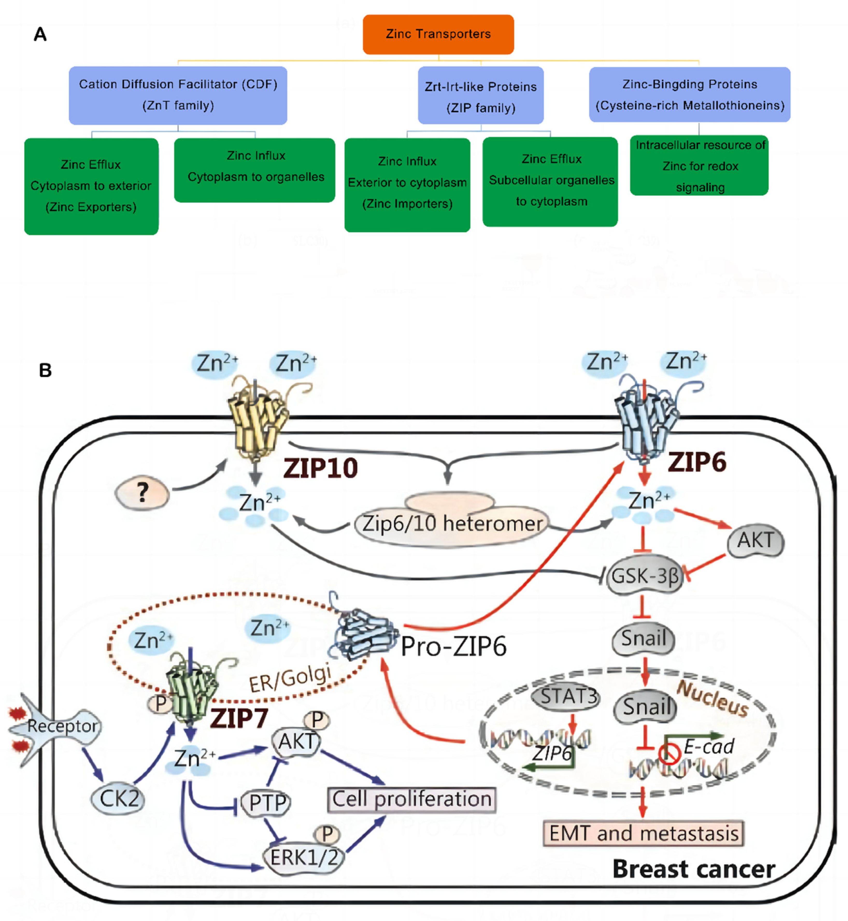 Nutrients 15 01703 g001