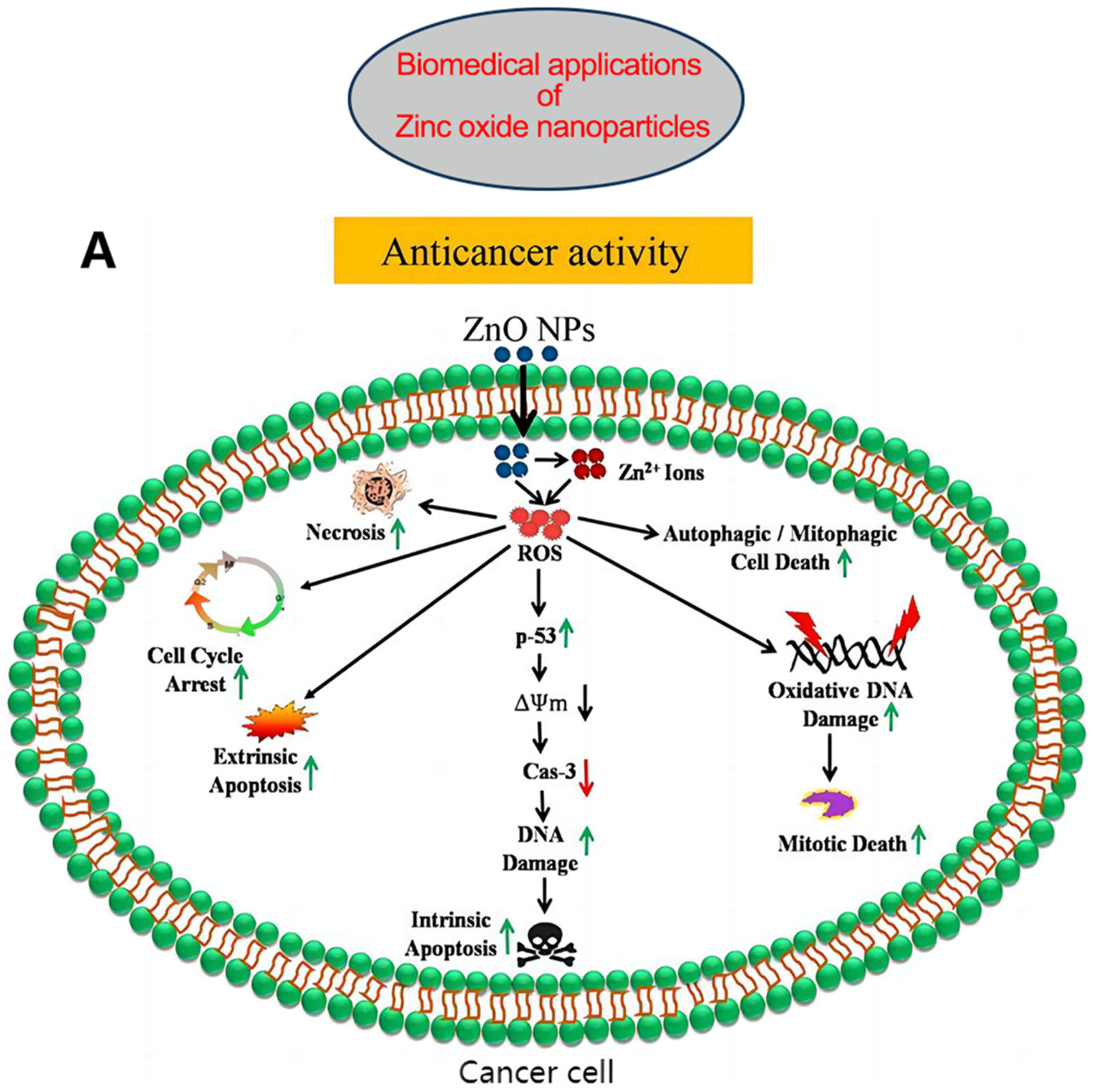Nutrients 15 01703 g003a
