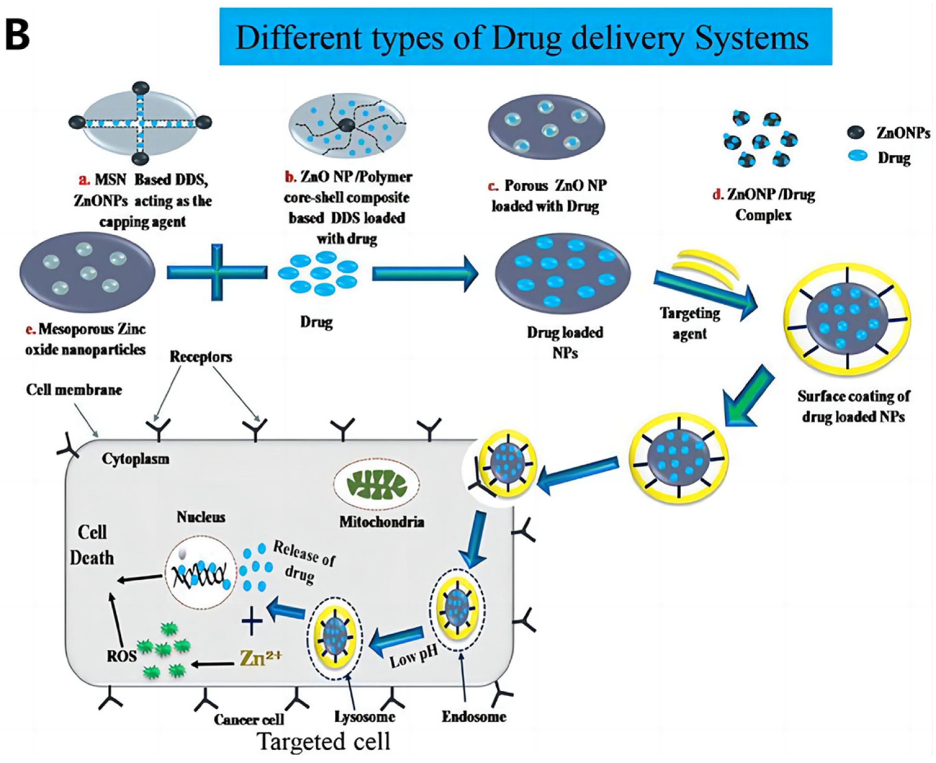 Nutrients 15 01703 g003b