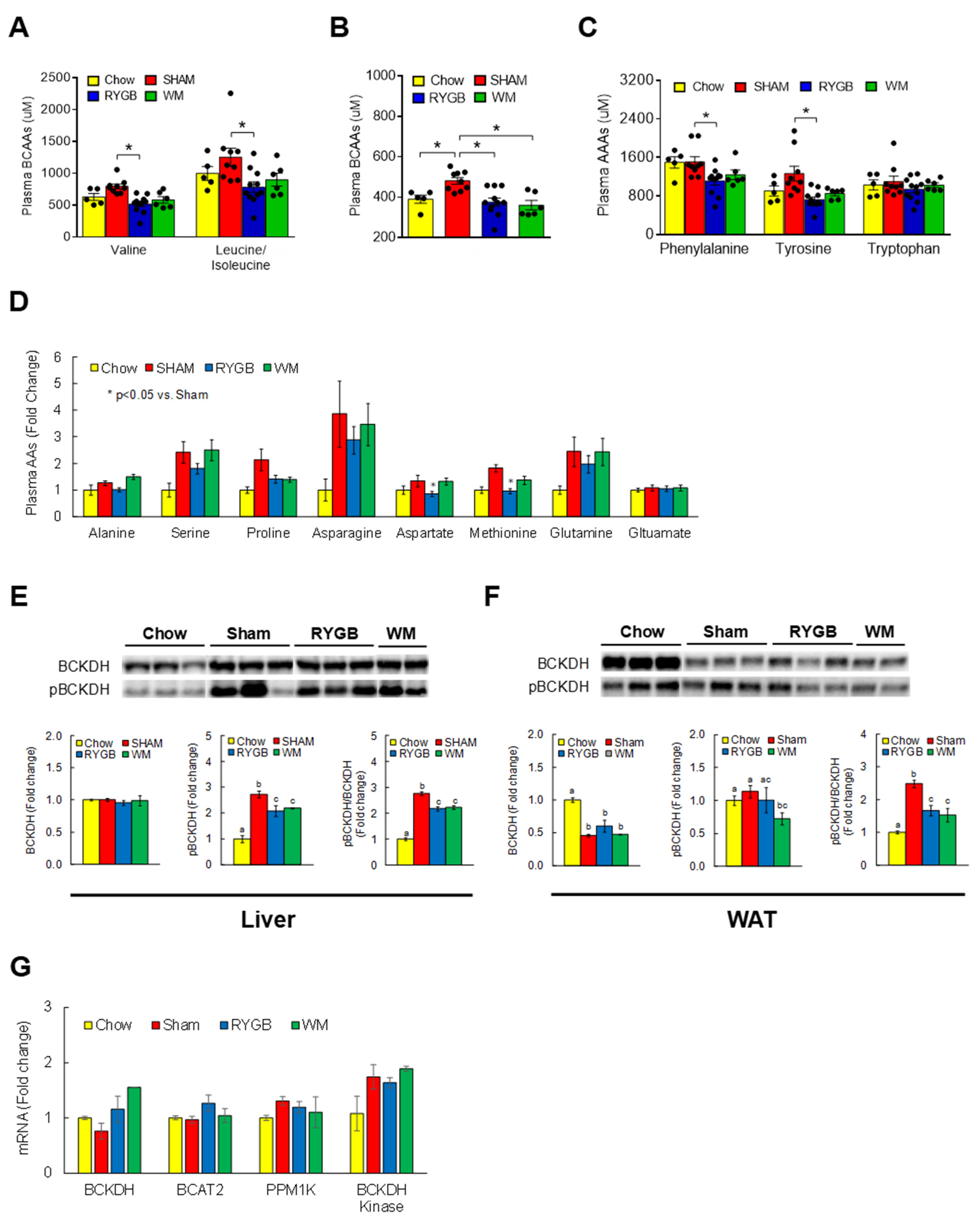Nutrients 15 01713 g001 Nutrients 15 01713 g001