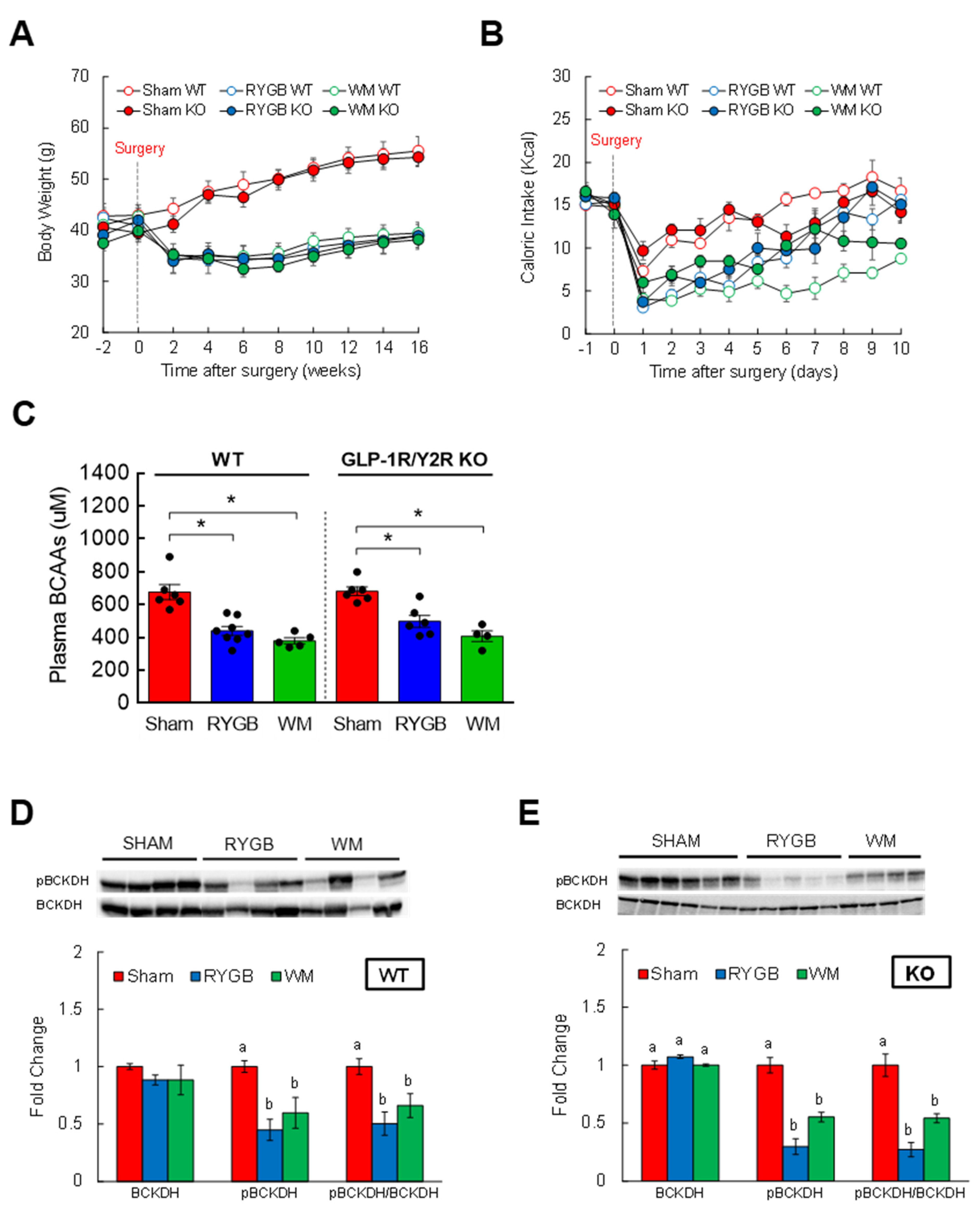 Nutrients 15 01713 g003 Nutrients 15 01713 g003