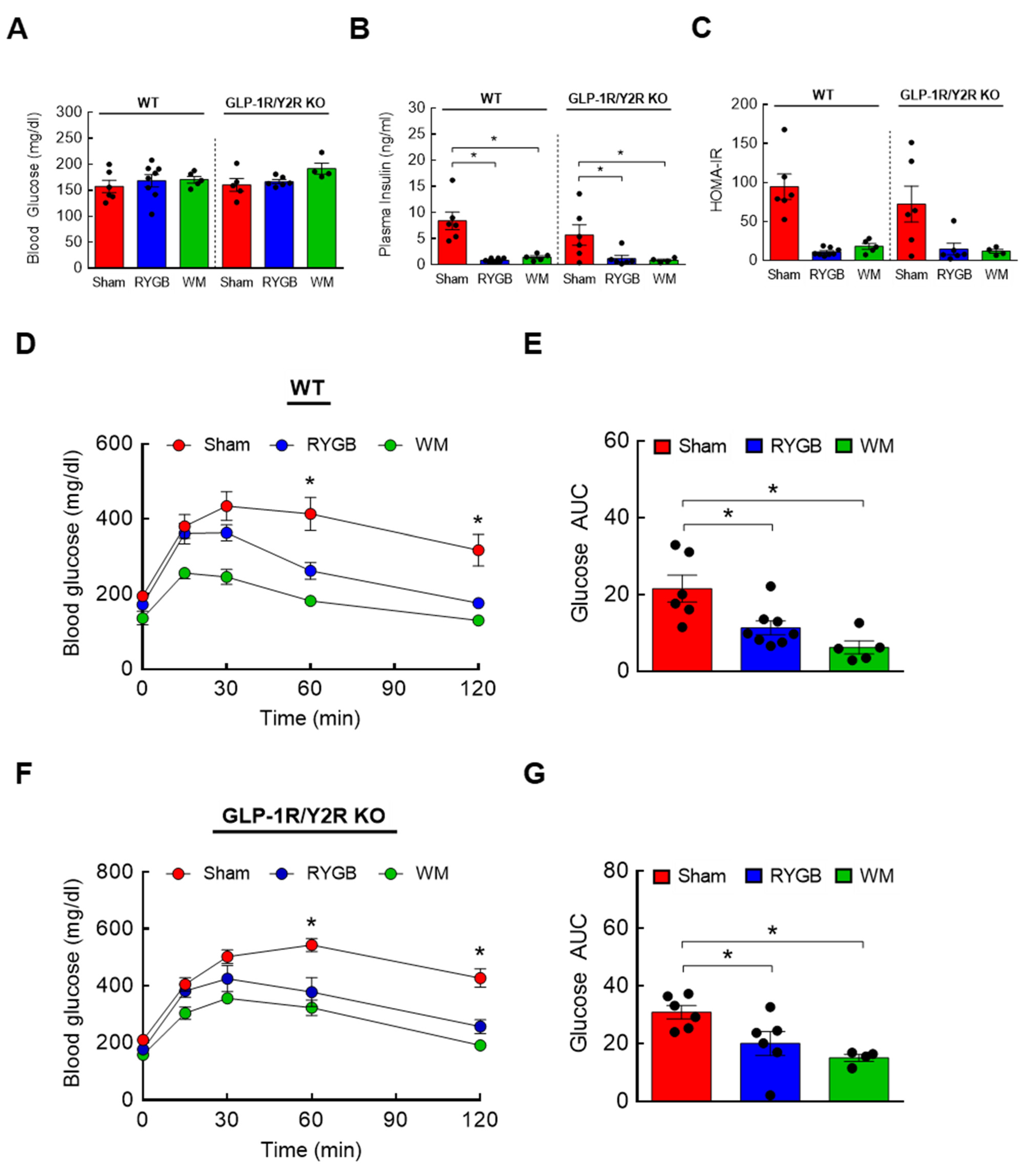 Nutrients 15 01713 g004 Nutrients 15 01713 g004
