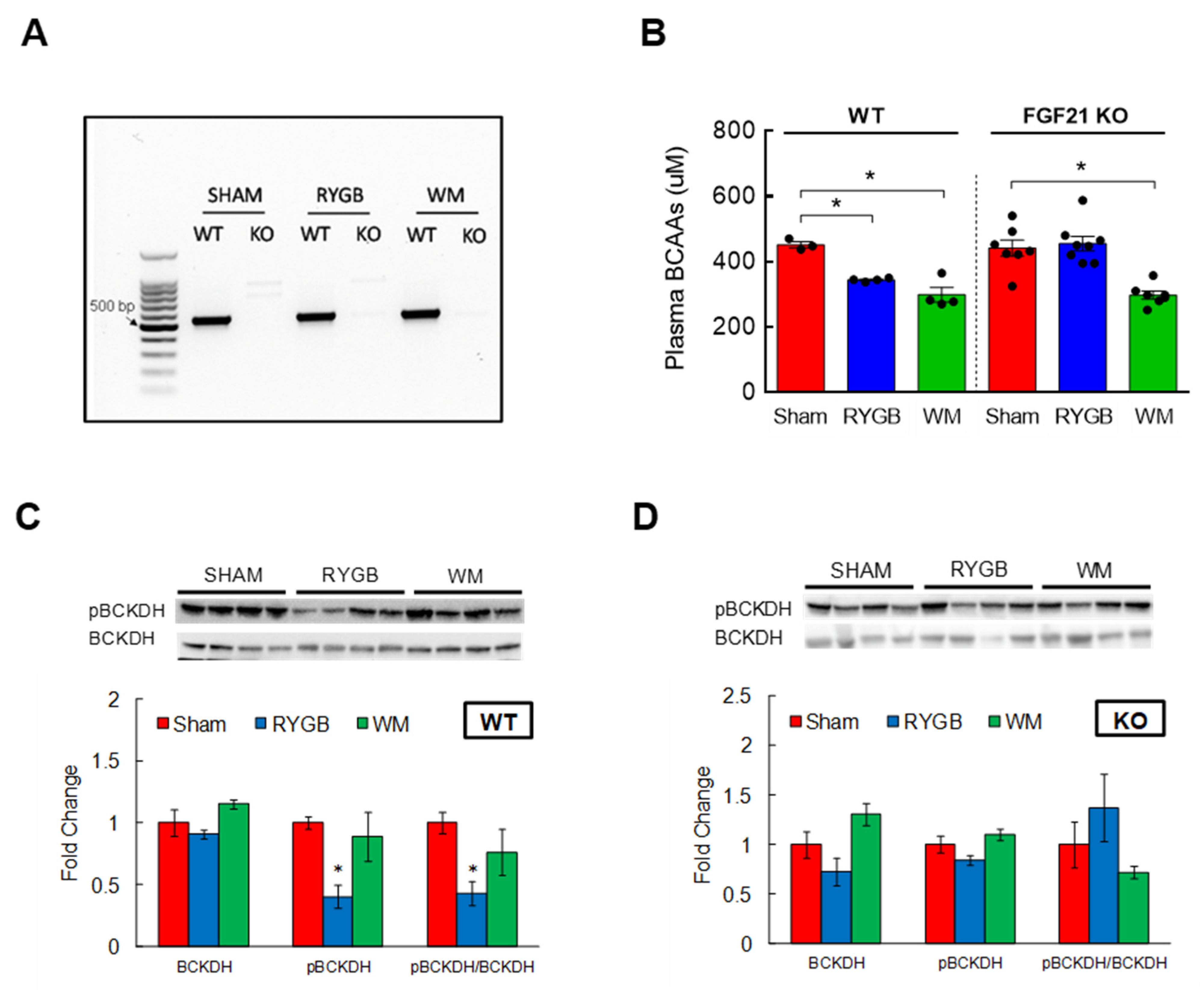 Nutrients 15 01713 g005 Nutrients 15 01713 g005