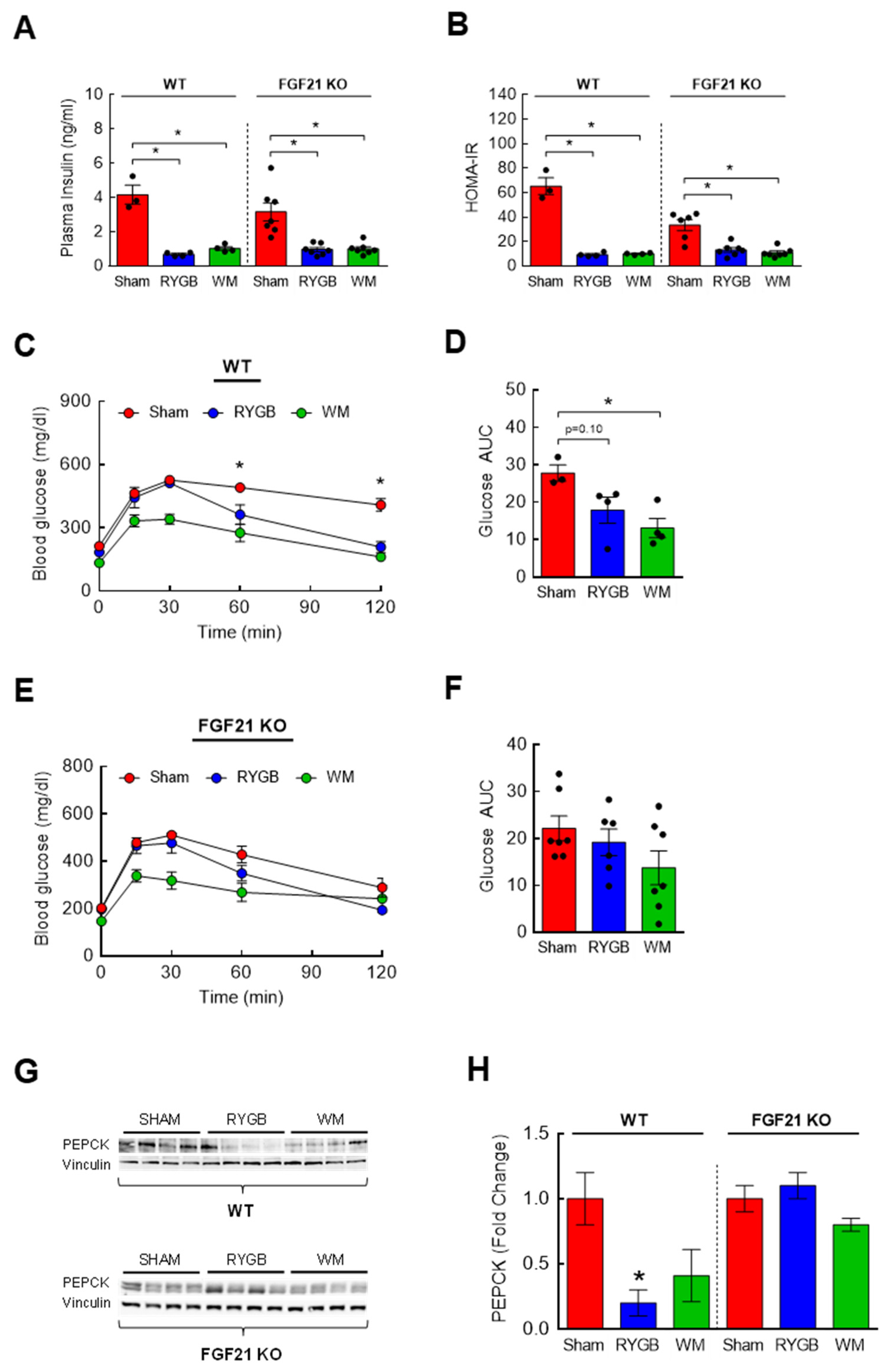 Nutrients 15 01713 g006 Nutrients 15 01713 g006