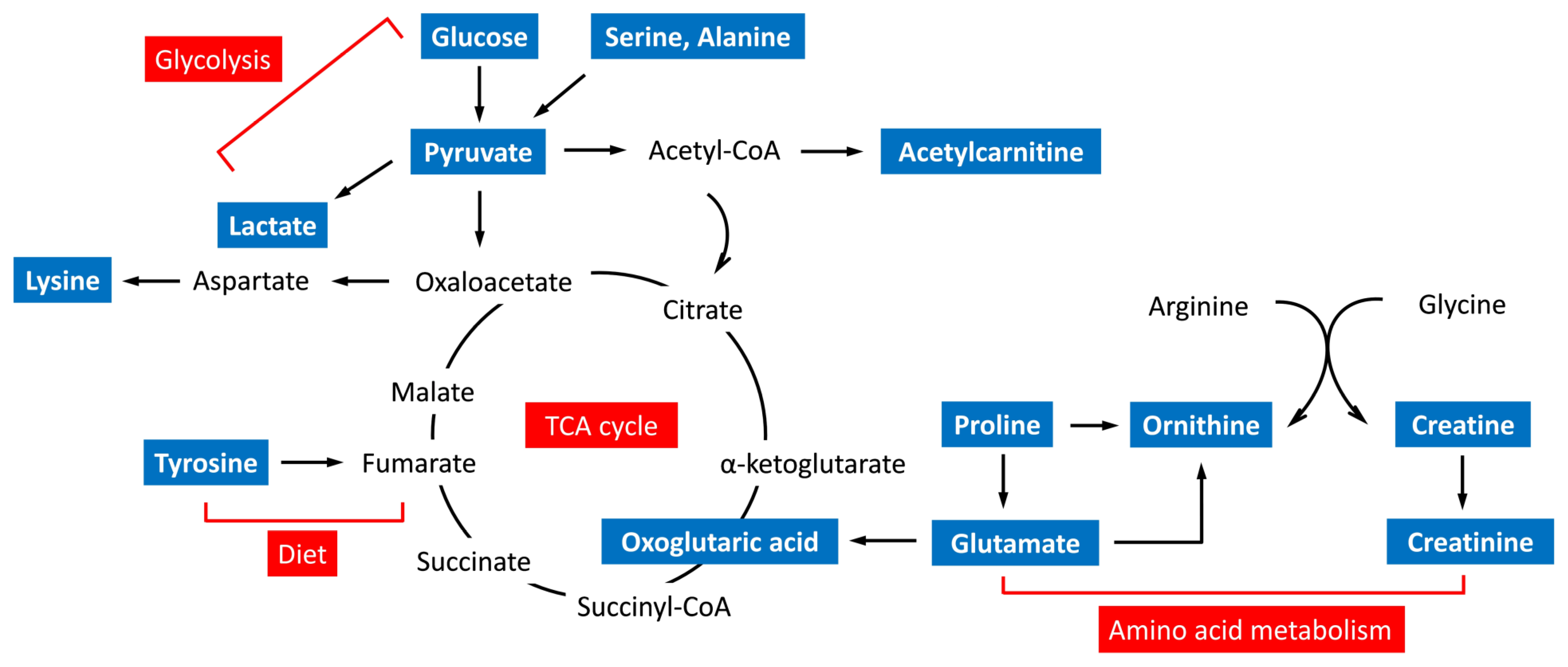Nutrients 15 01726 g002 Nutrients 15 01726 g002