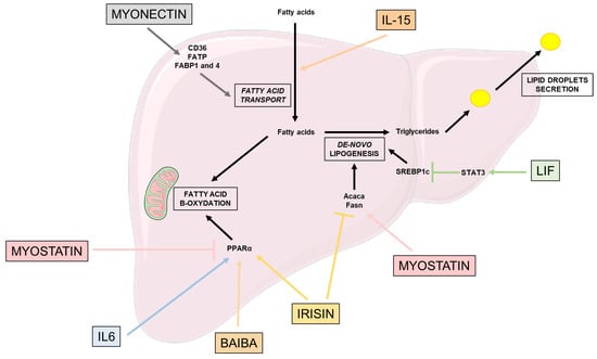 Nutrients 15 01729 g002