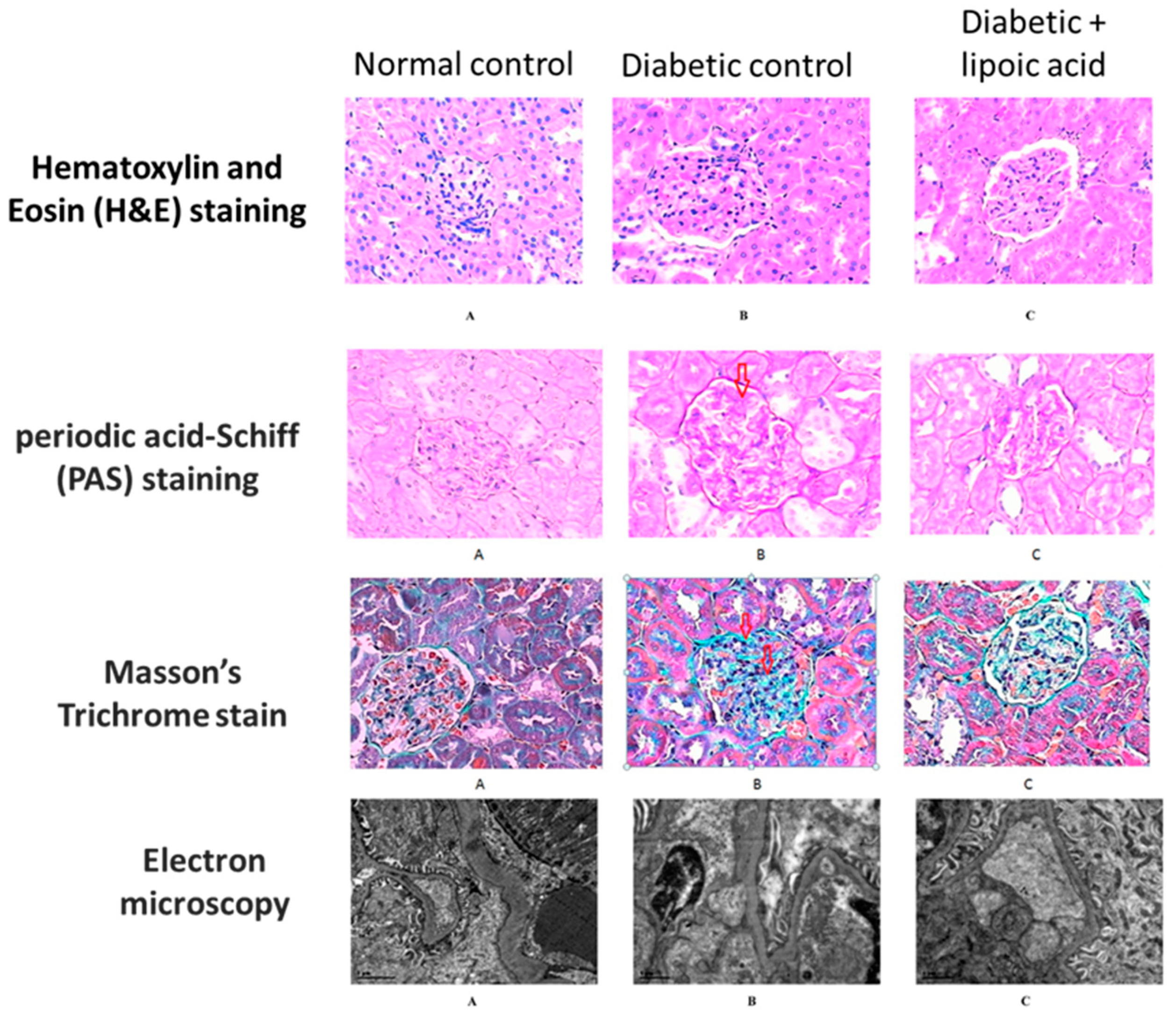Nutrients 15 01732 g005
