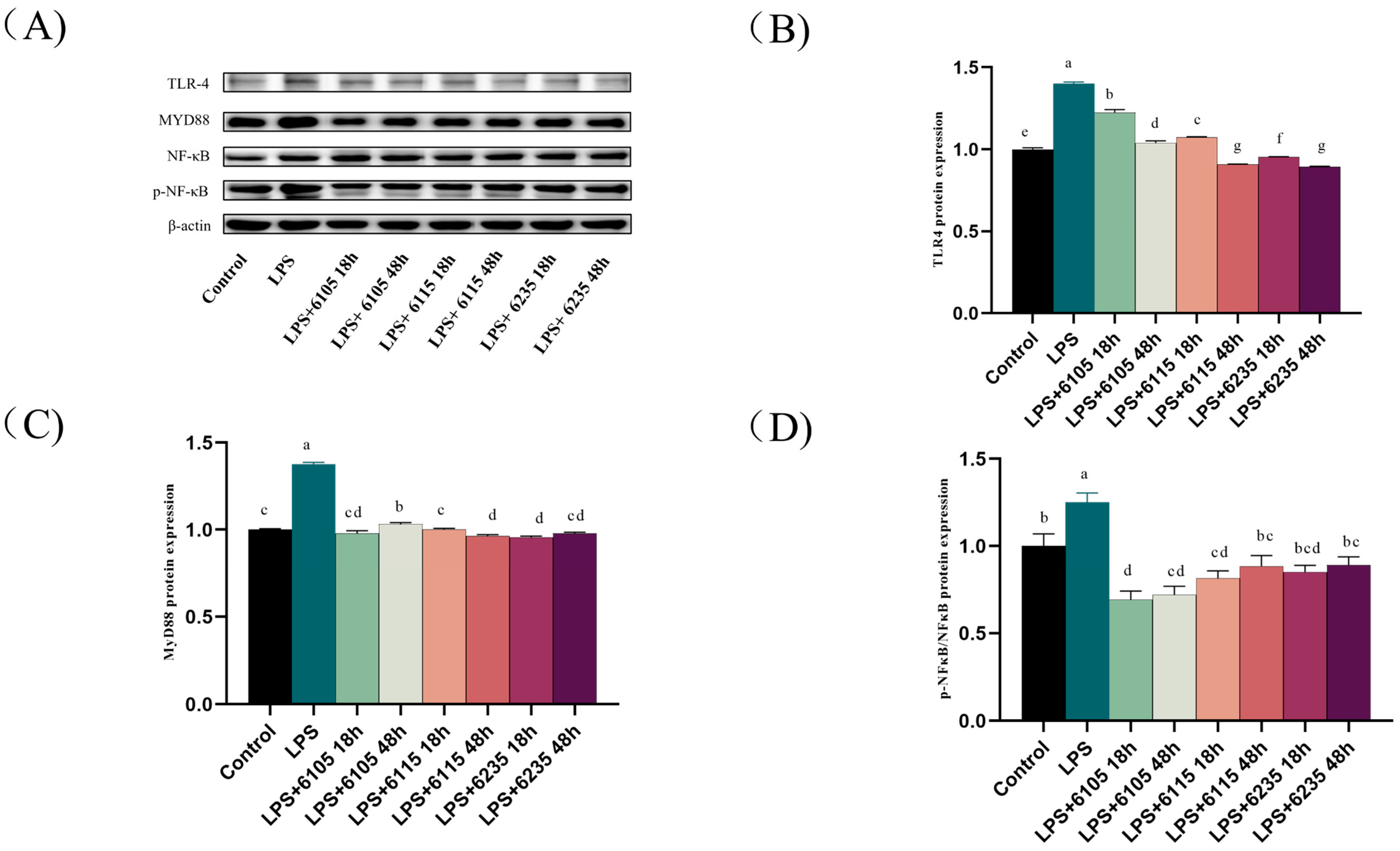 Nutrients 15 01758 g006a Nutrients 15 01758 g006a