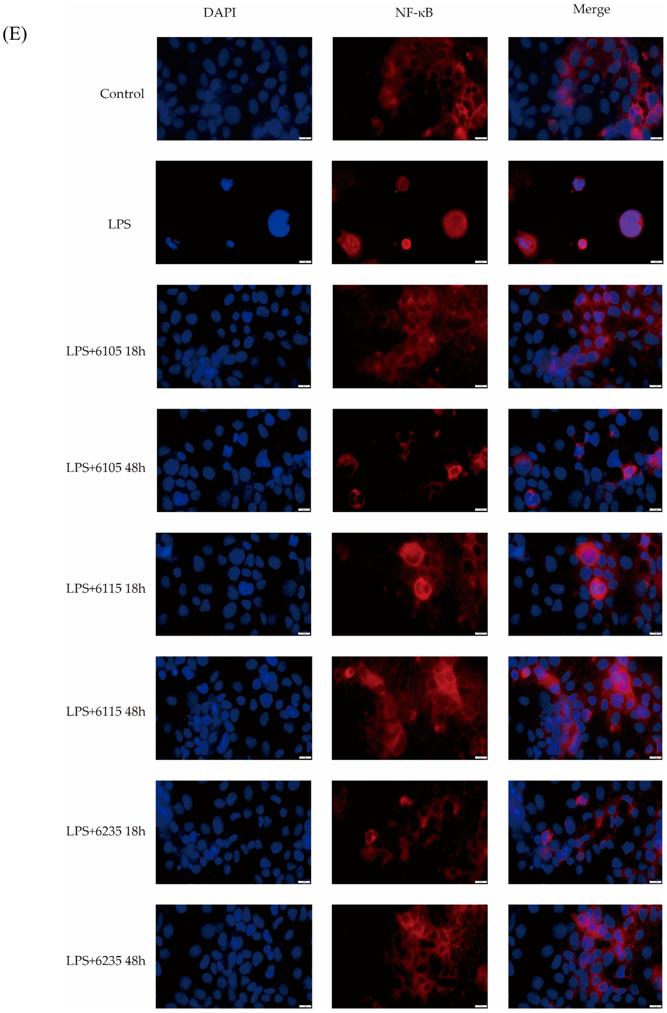 Nutrients 15 01758 g006b Nutrients 15 01758 g006b